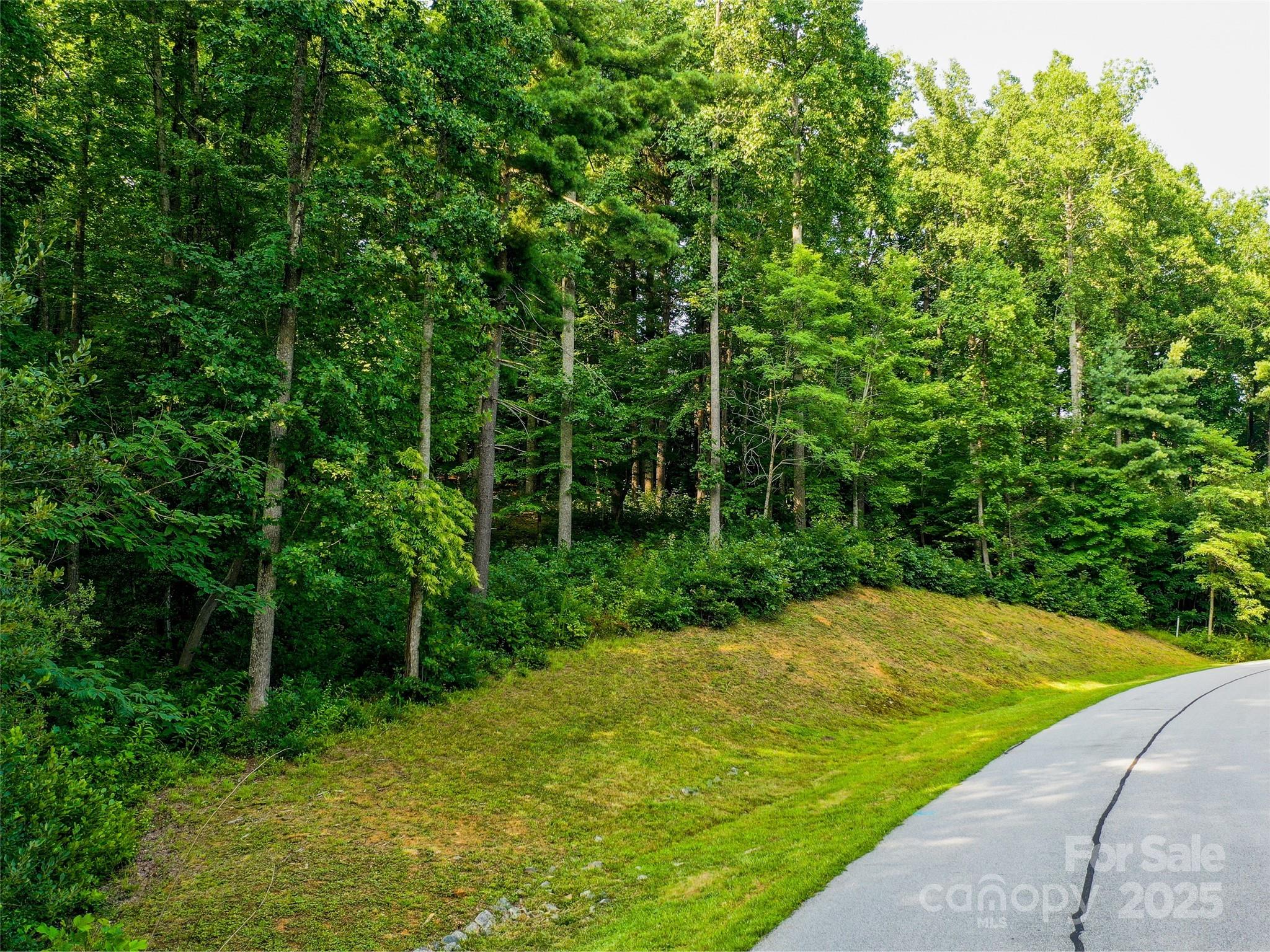 0 Freedom Trail Court Property Photo 3