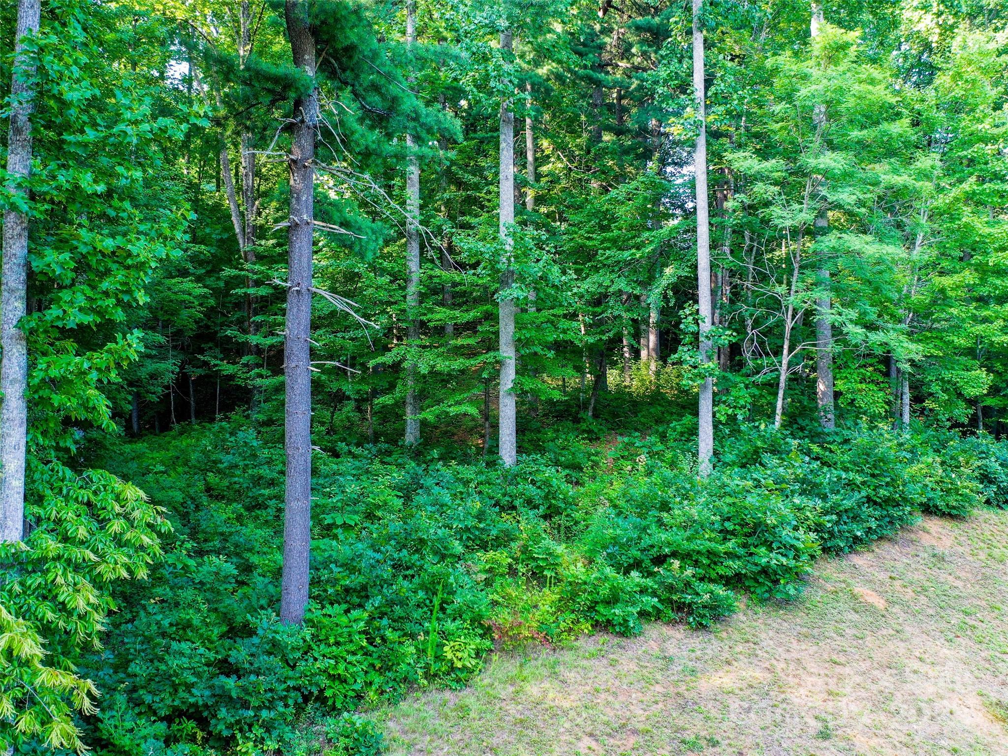 0 Freedom Trail Court Property Photo 4