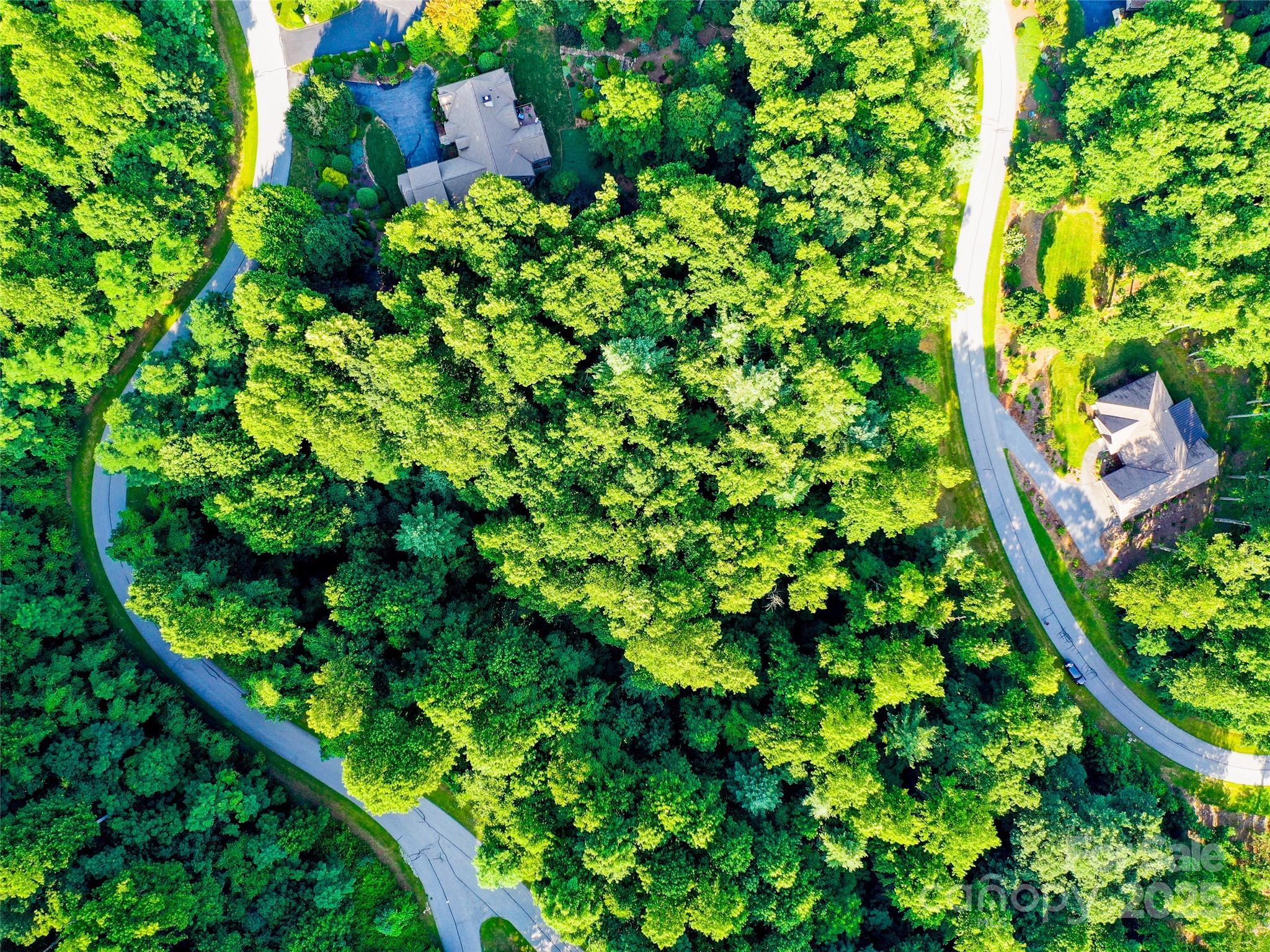 0 Freedom Trail Court Property Photo 6