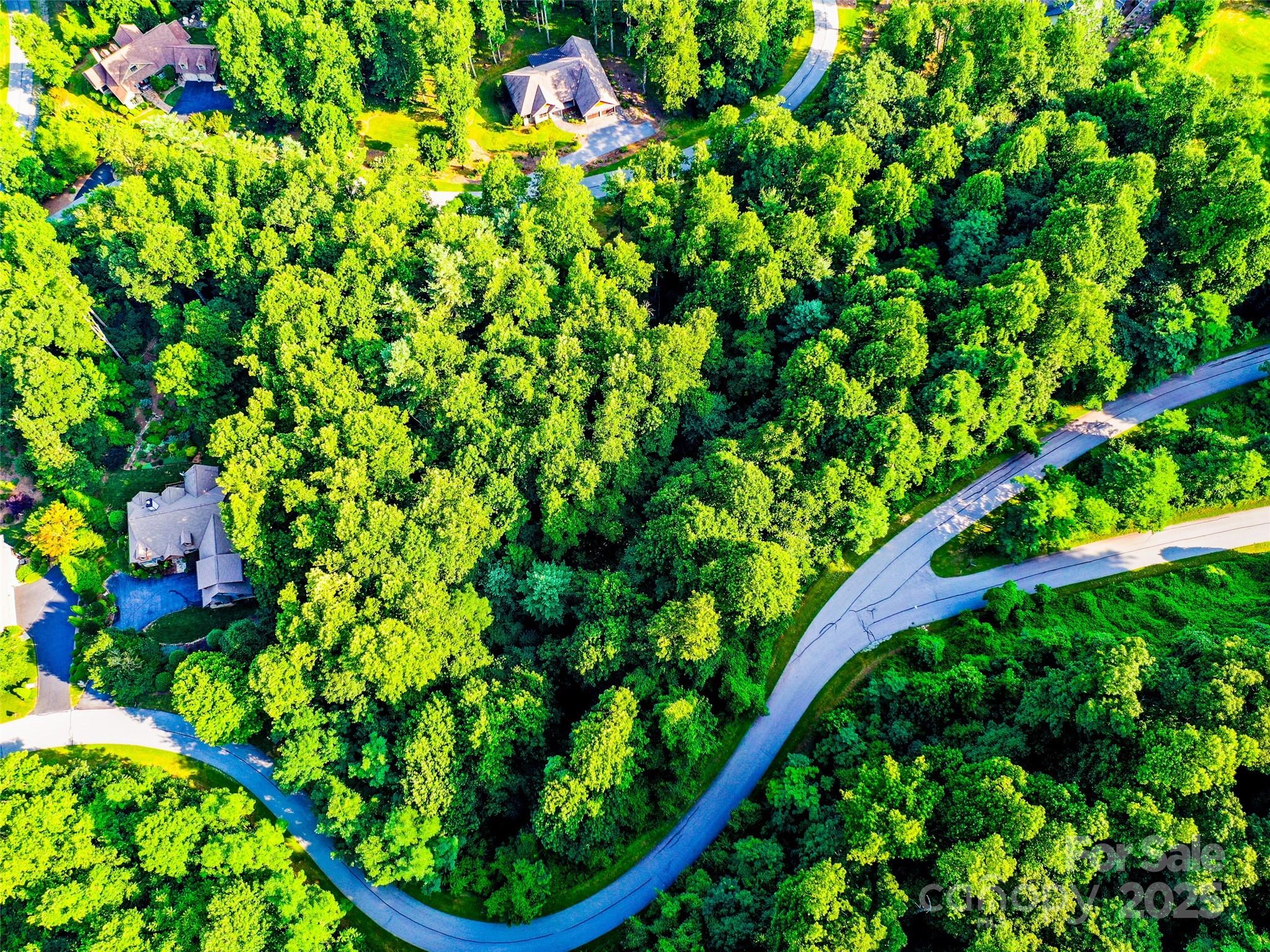 0 Freedom Trail Court Property Photo 7