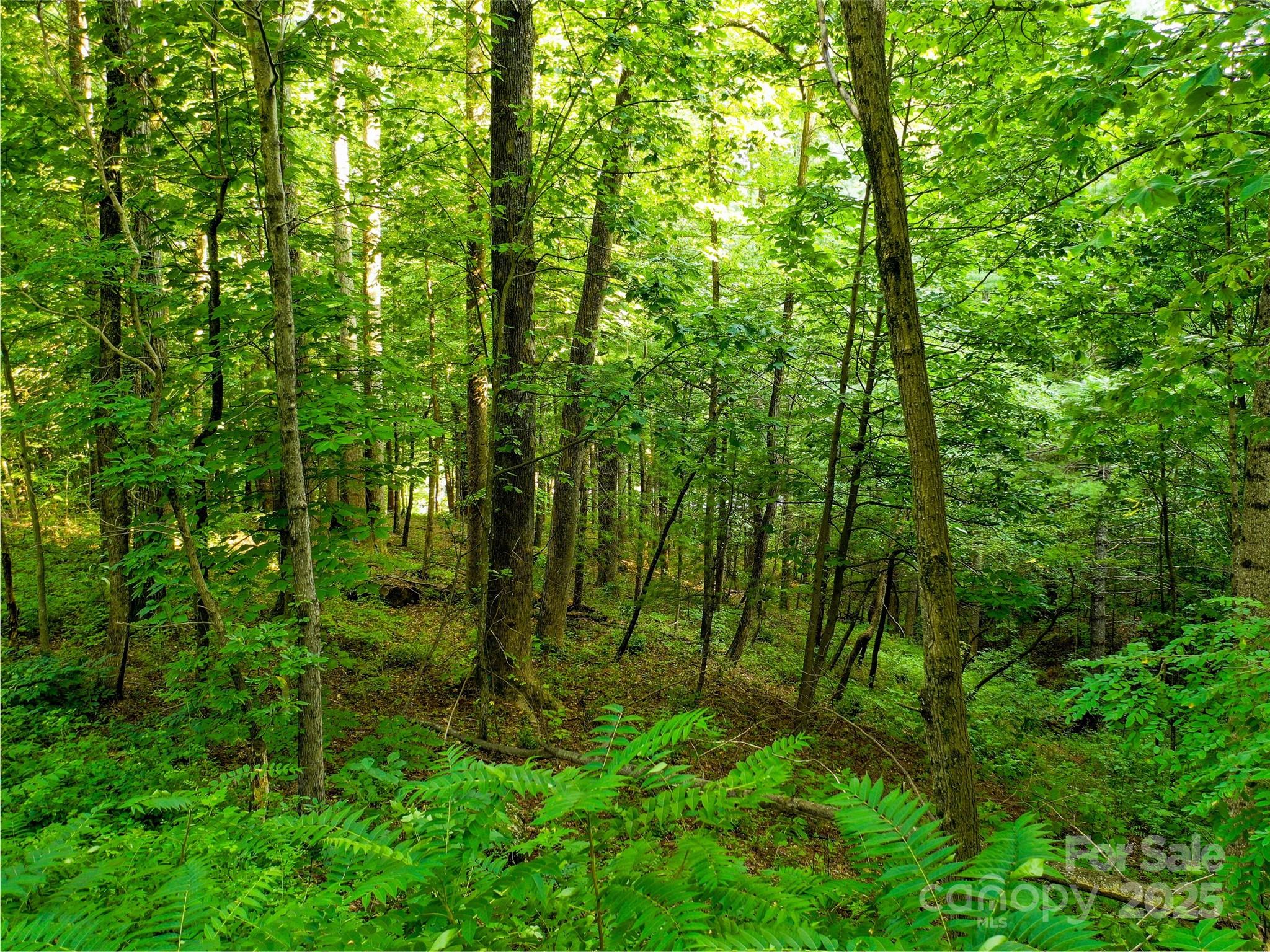 0 Freedom Trail Court Property Photo 9