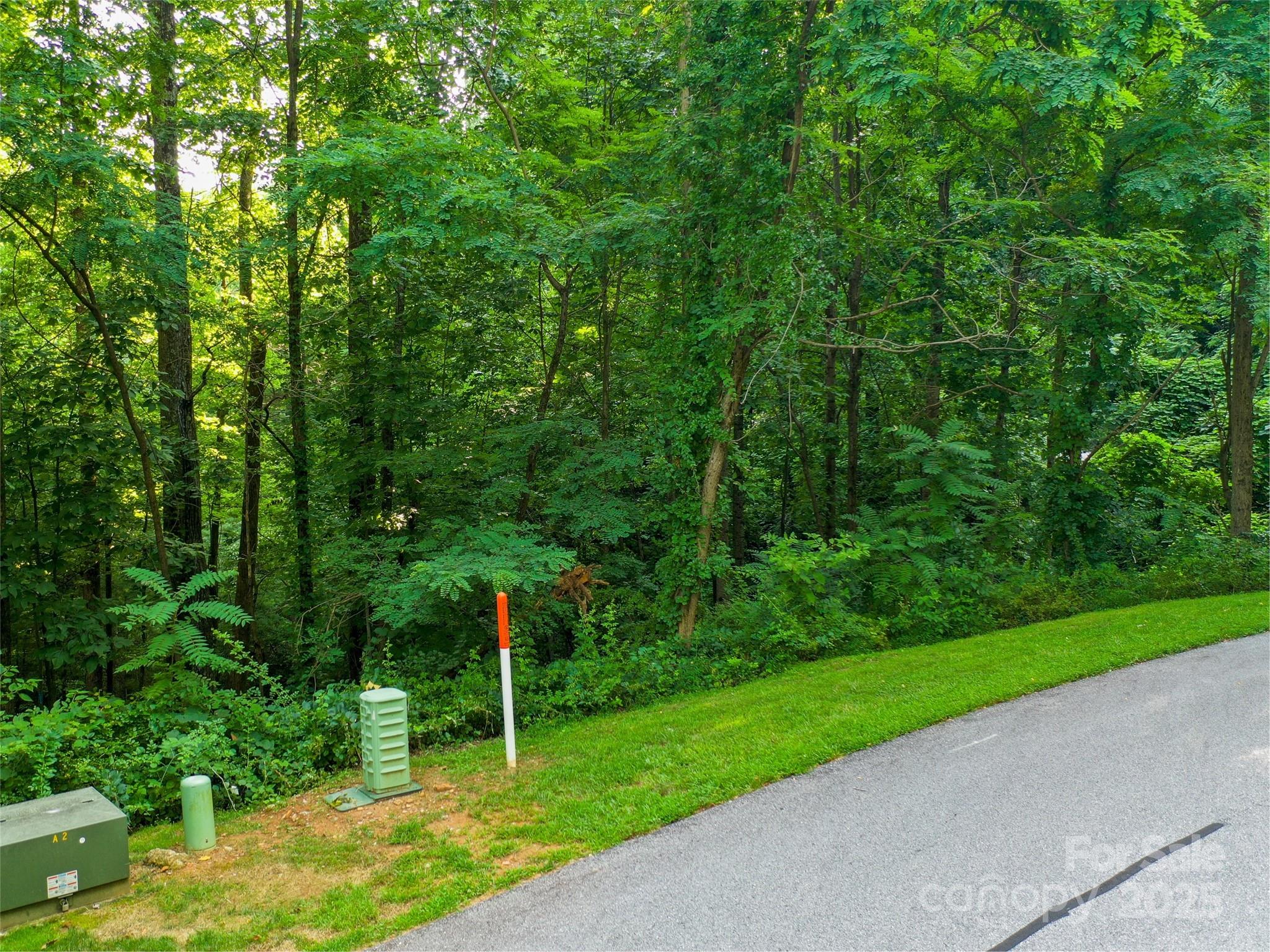 0 Freedom Trail Court Property Photo 11