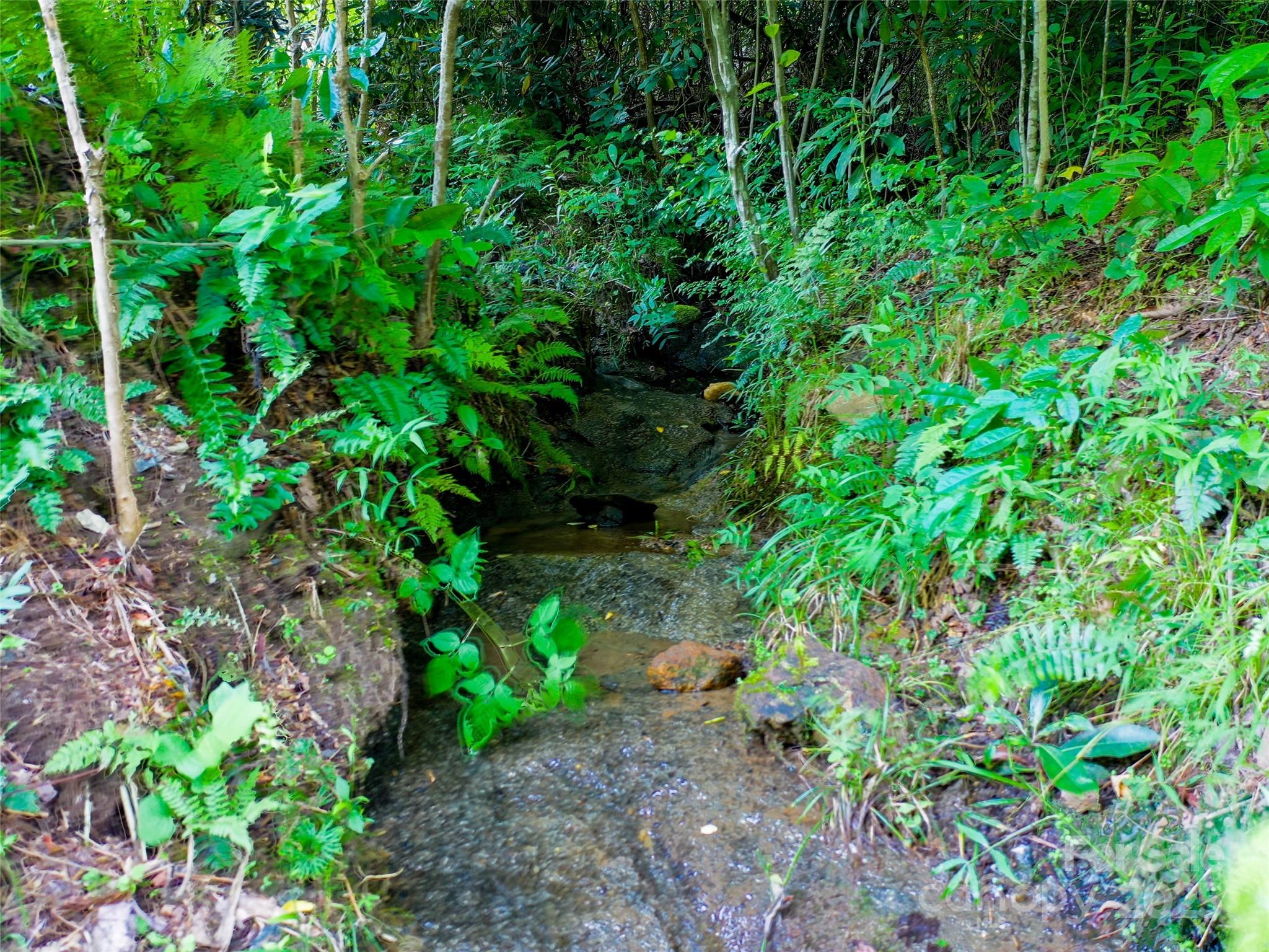 0 Freedom Trail Court Property Photo 14