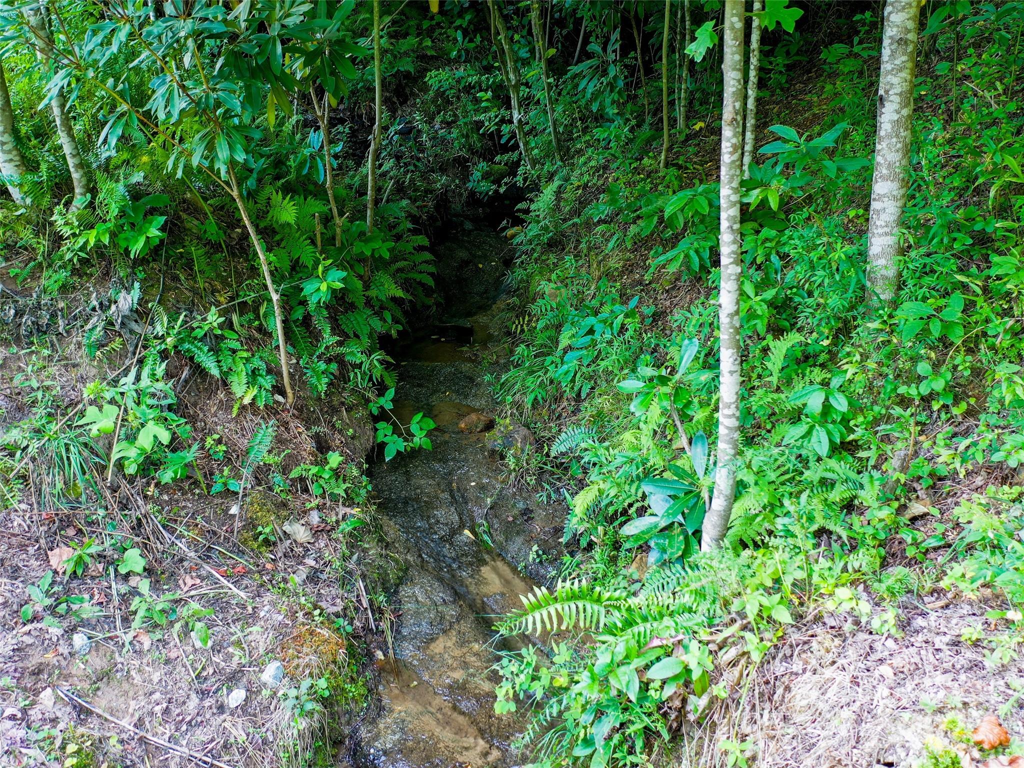 0 Freedom Trail Court Property Photo 15