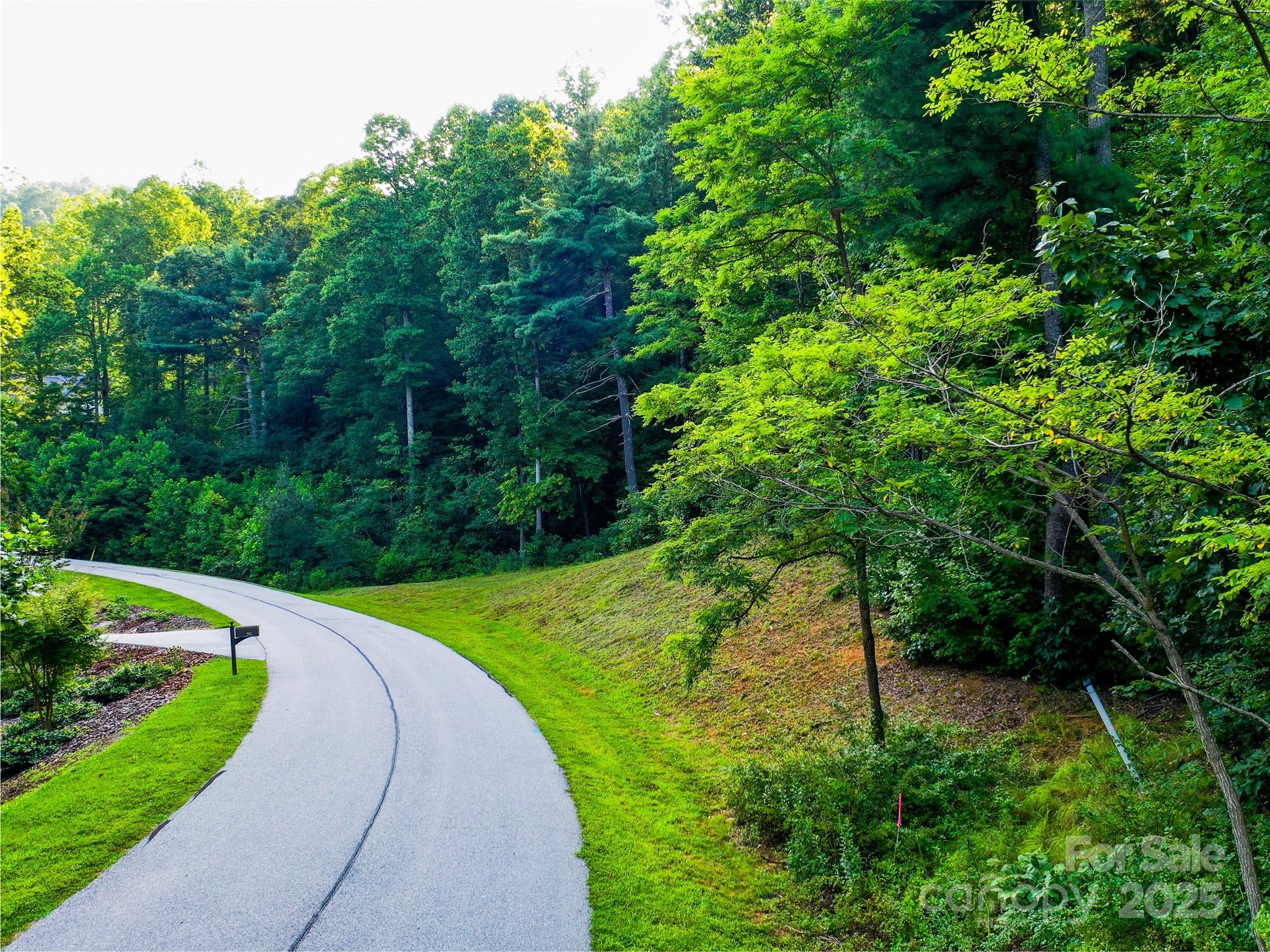 0 Freedom Trail Court Property Photo 17