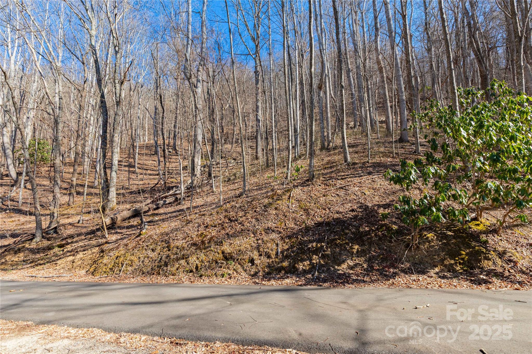 Tbd Halfmoon Ridge Property Photo 5