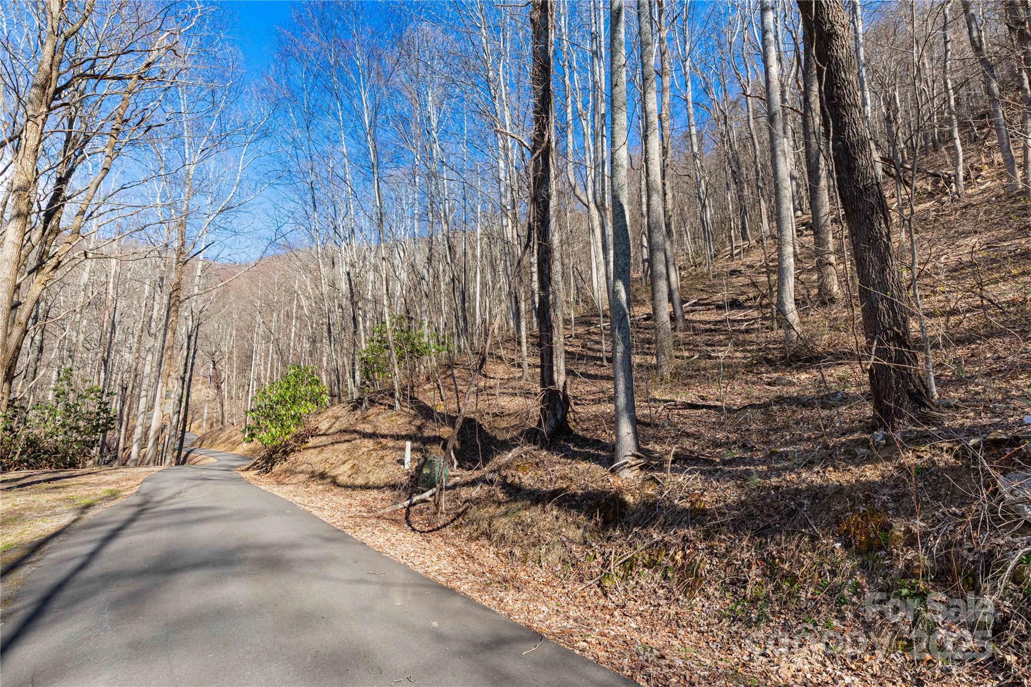 Tbd Halfmoon Ridge Property Photo 6