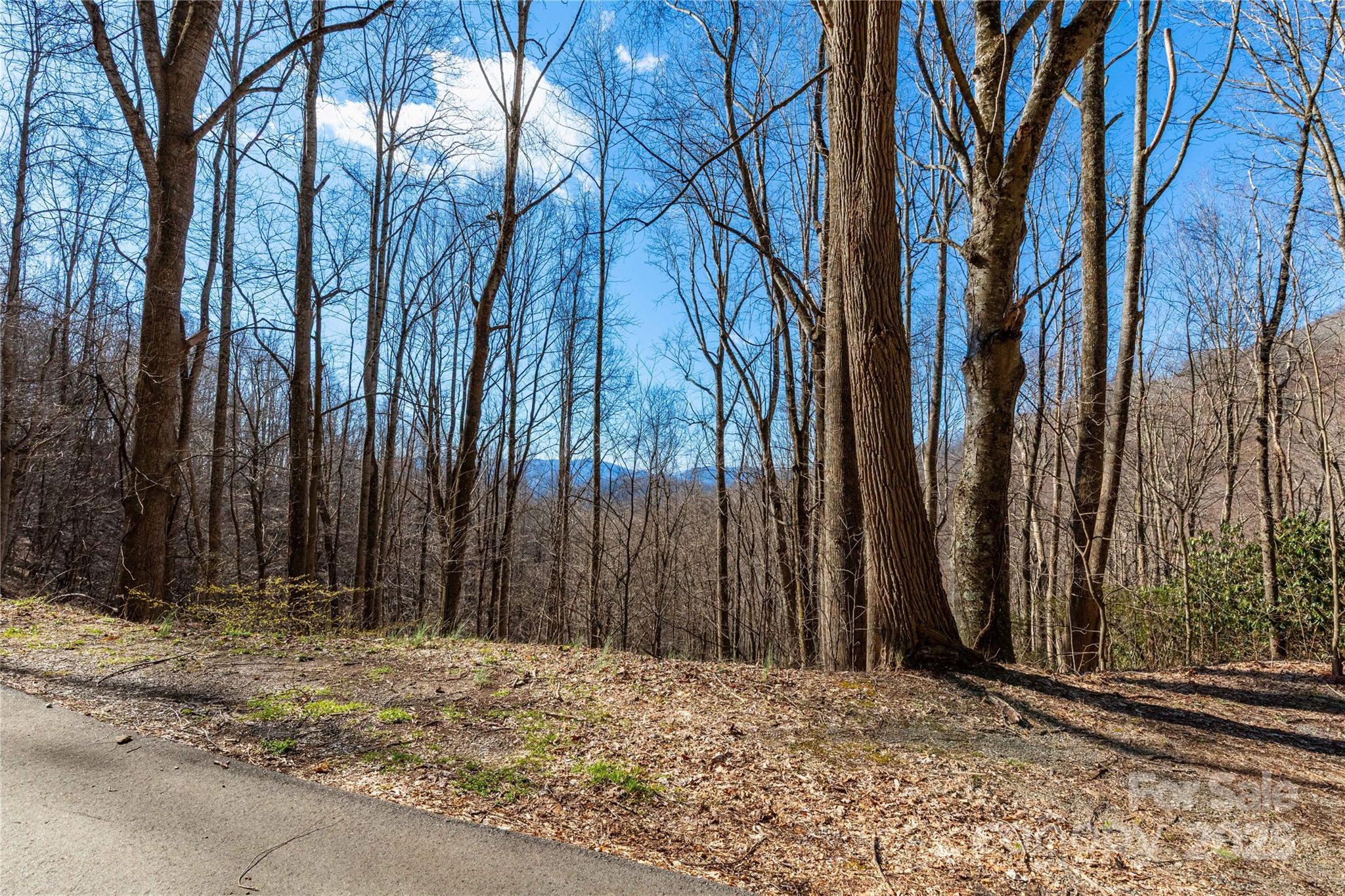 Tbd Halfmoon Ridge Property Photo 7
