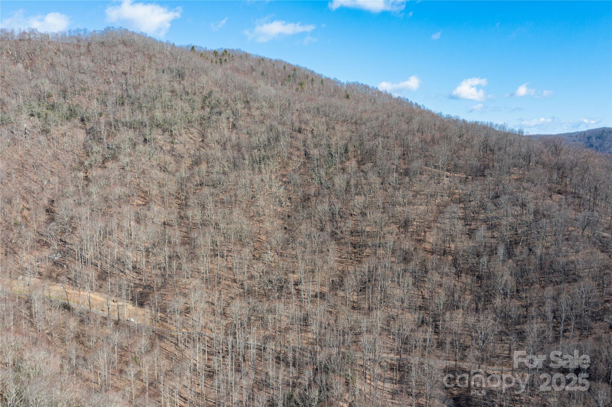 Tbd Halfmoon Ridge Property Photo 8