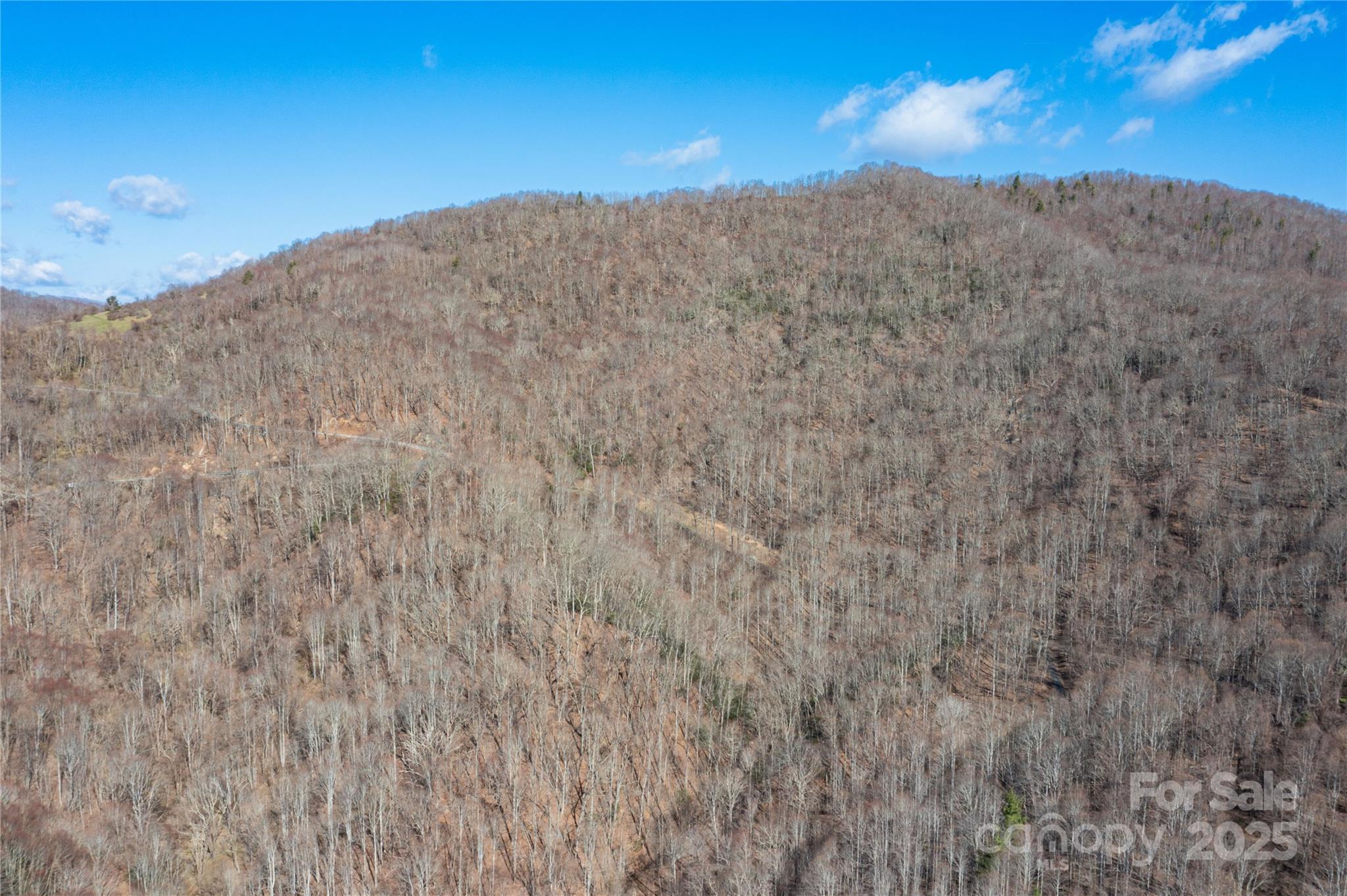Tbd Halfmoon Ridge Property Photo 10