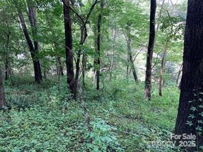 99999 Moffitt Branch Road Property Photo 5