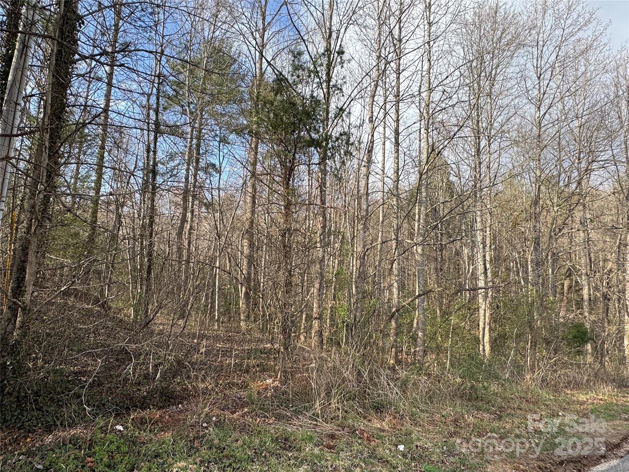 2407 Ridgecreek Drive Property Photo