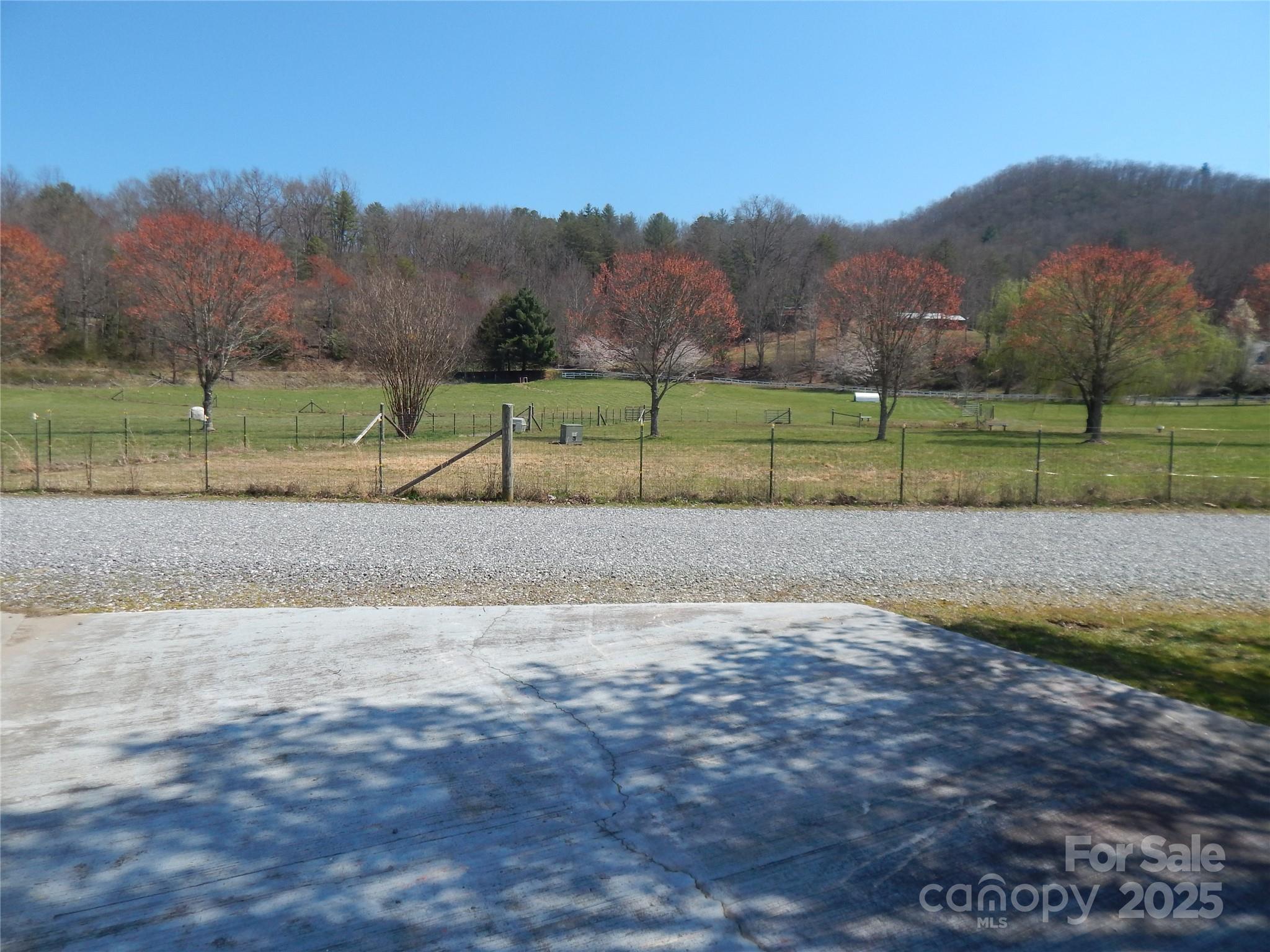 50 Timber Leaf Drive 8 Property Photo 8