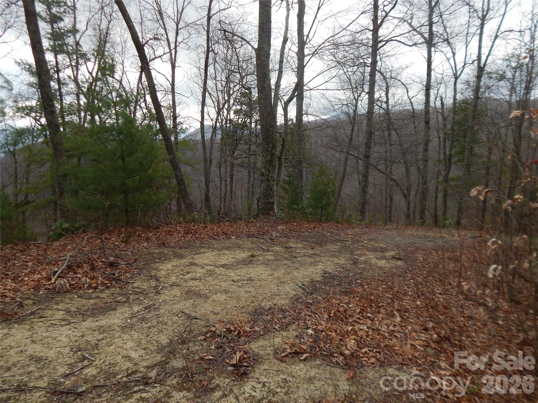 5 Sigogglin Trail Property Photo 3