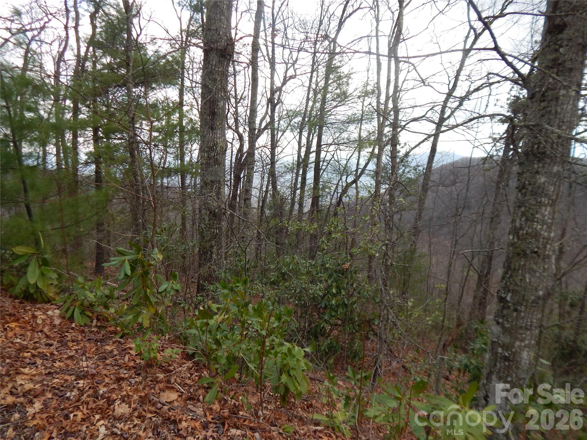 5 Sigogglin Trail Property Photo 4