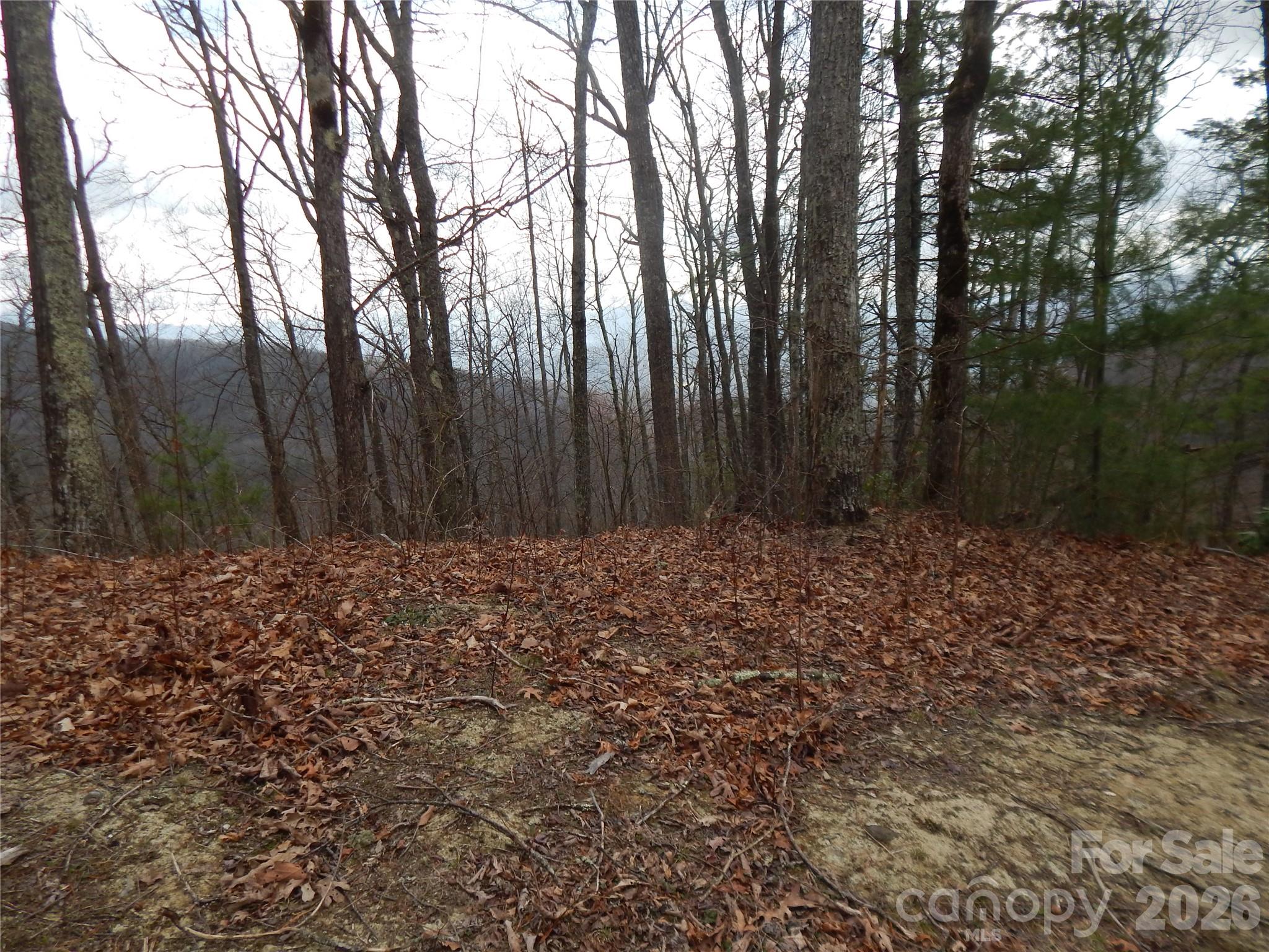 5 Sigogglin Trail Property Photo 5