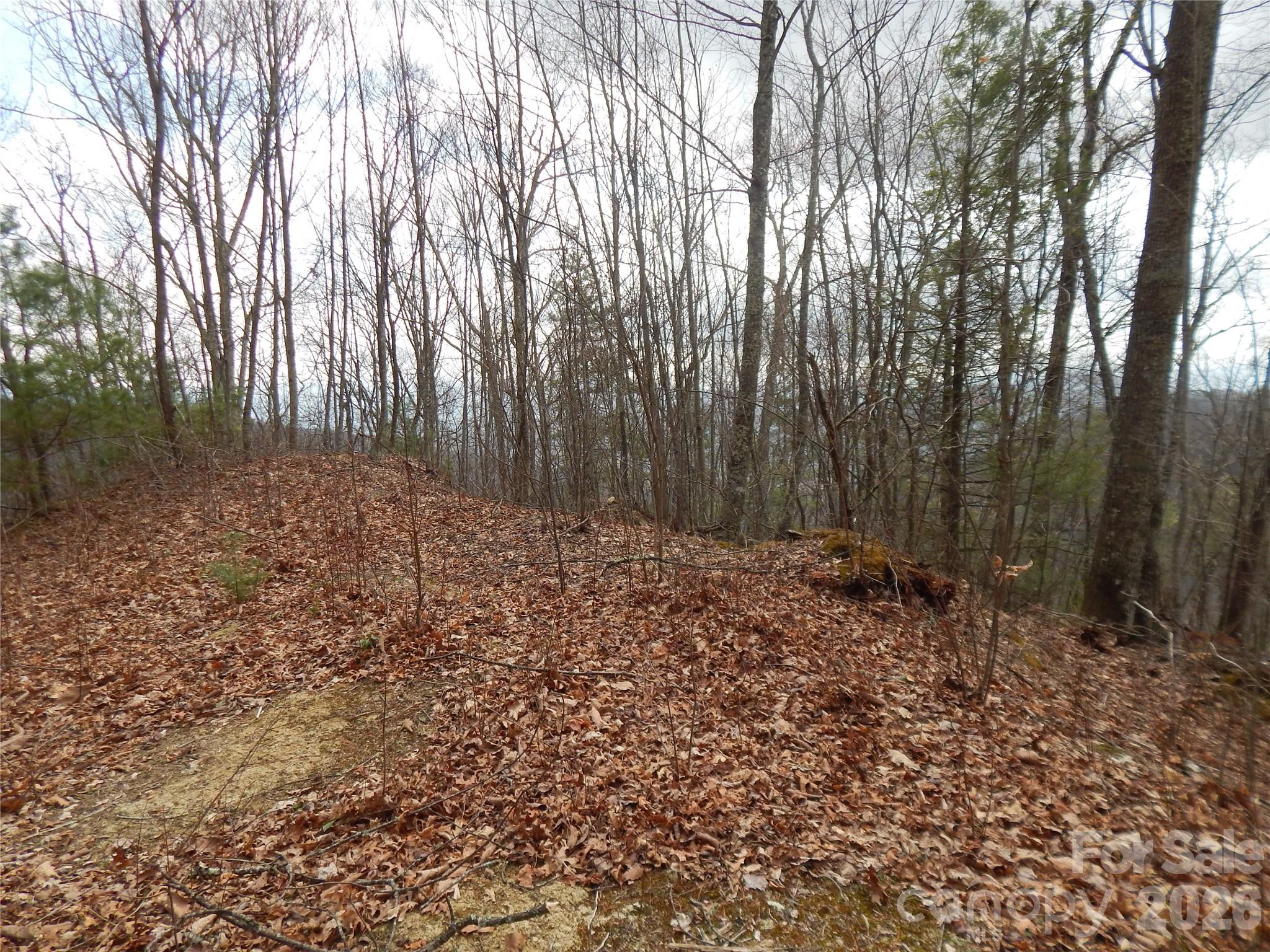 5 Sigogglin Trail Property Photo 6