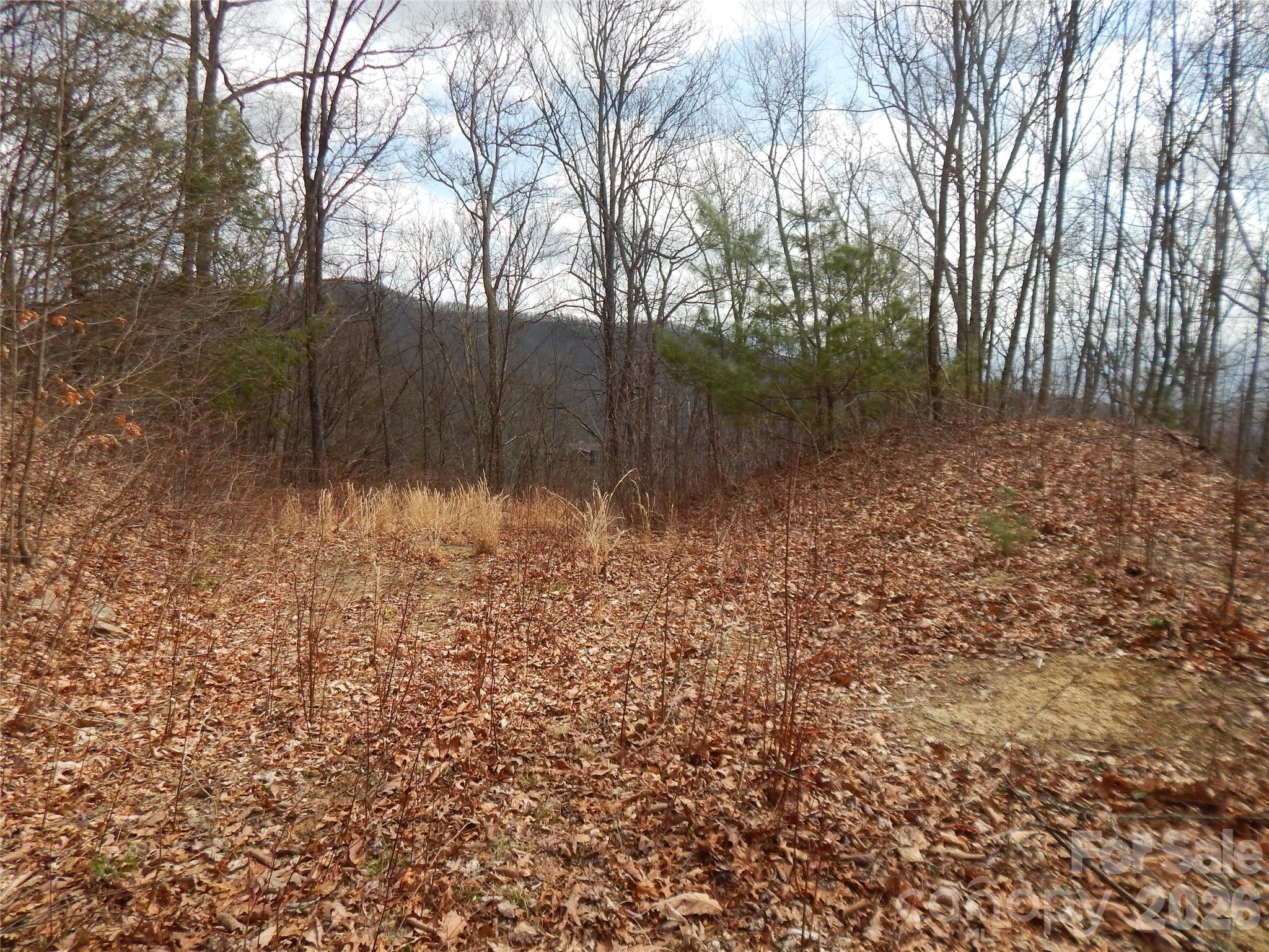 5 Sigogglin Trail Property Photo 7