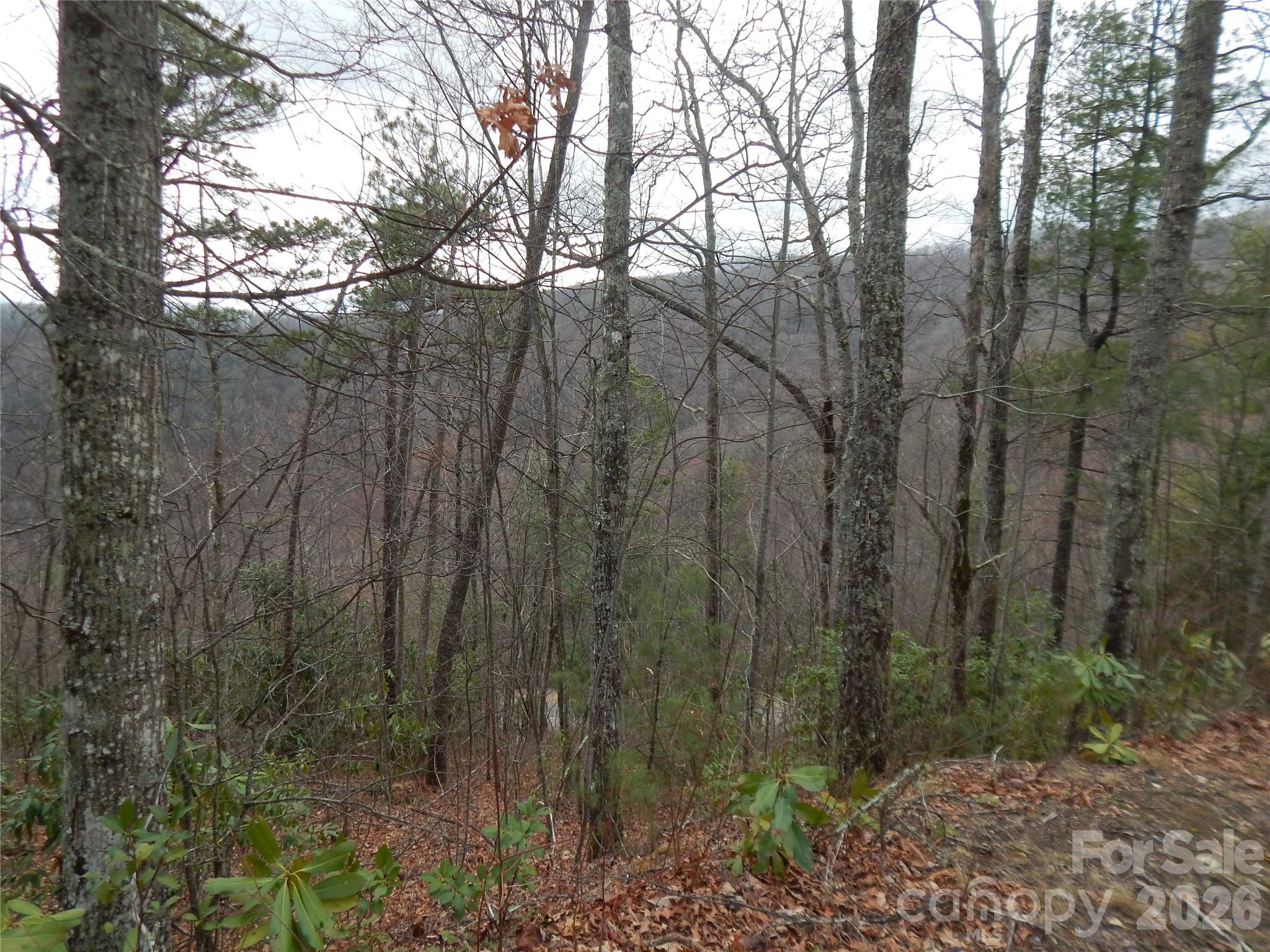 5 Sigogglin Trail Property Photo 12