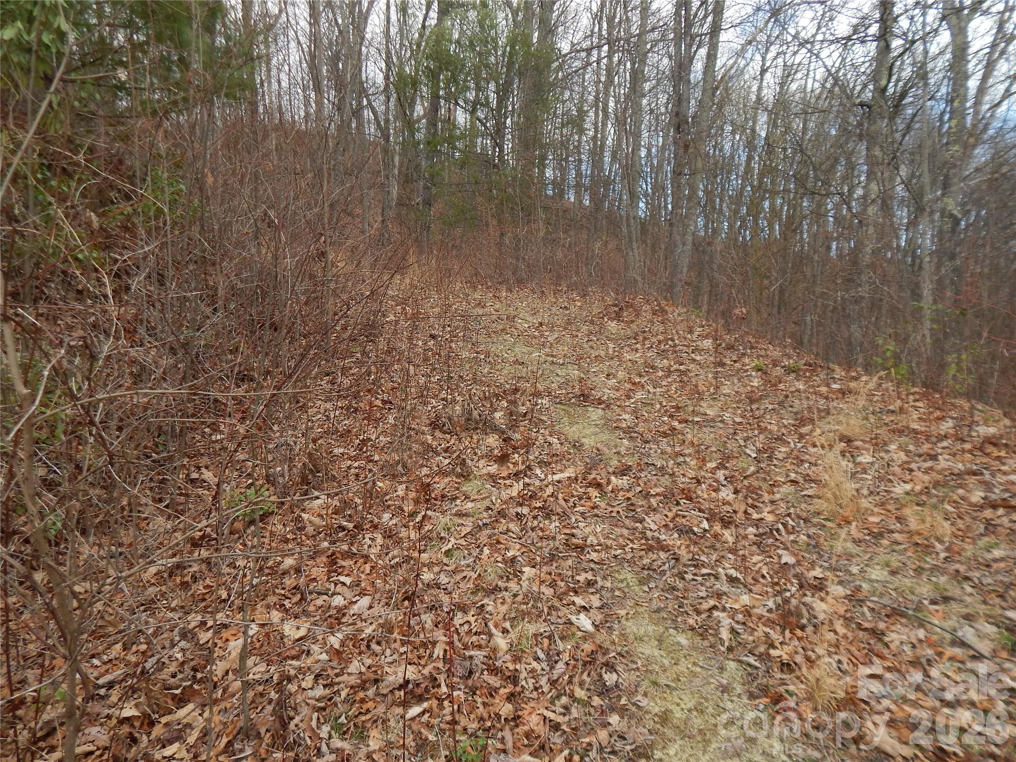 5 Sigogglin Trail Property Photo 14