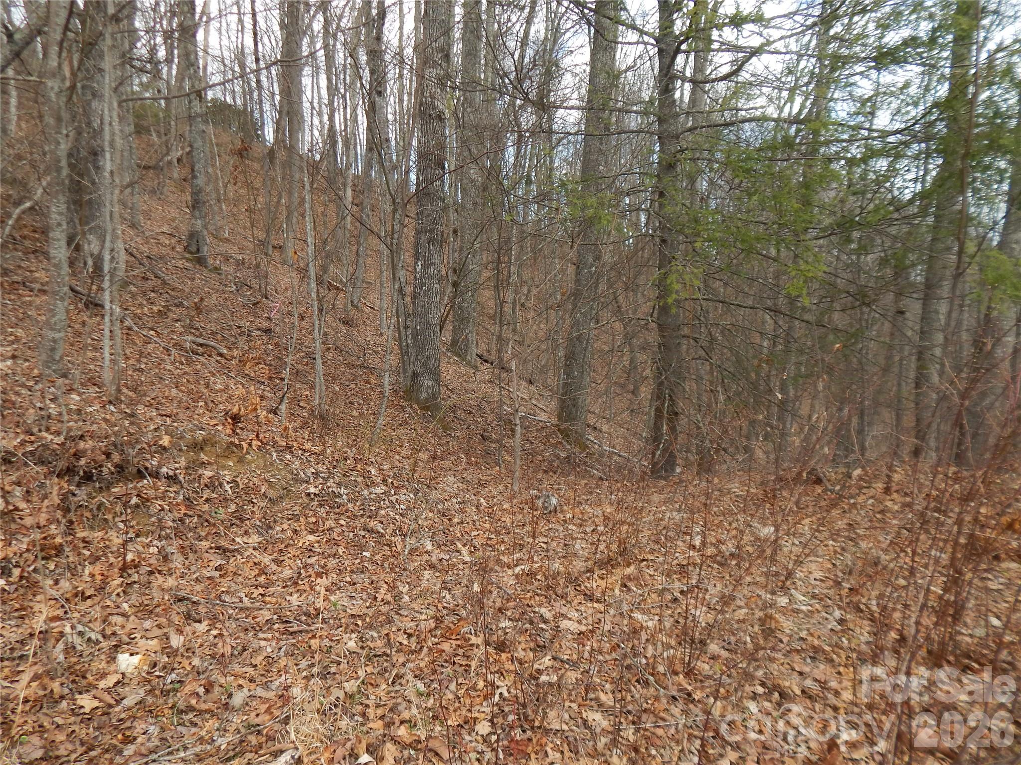 5 Sigogglin Trail Property Photo 15