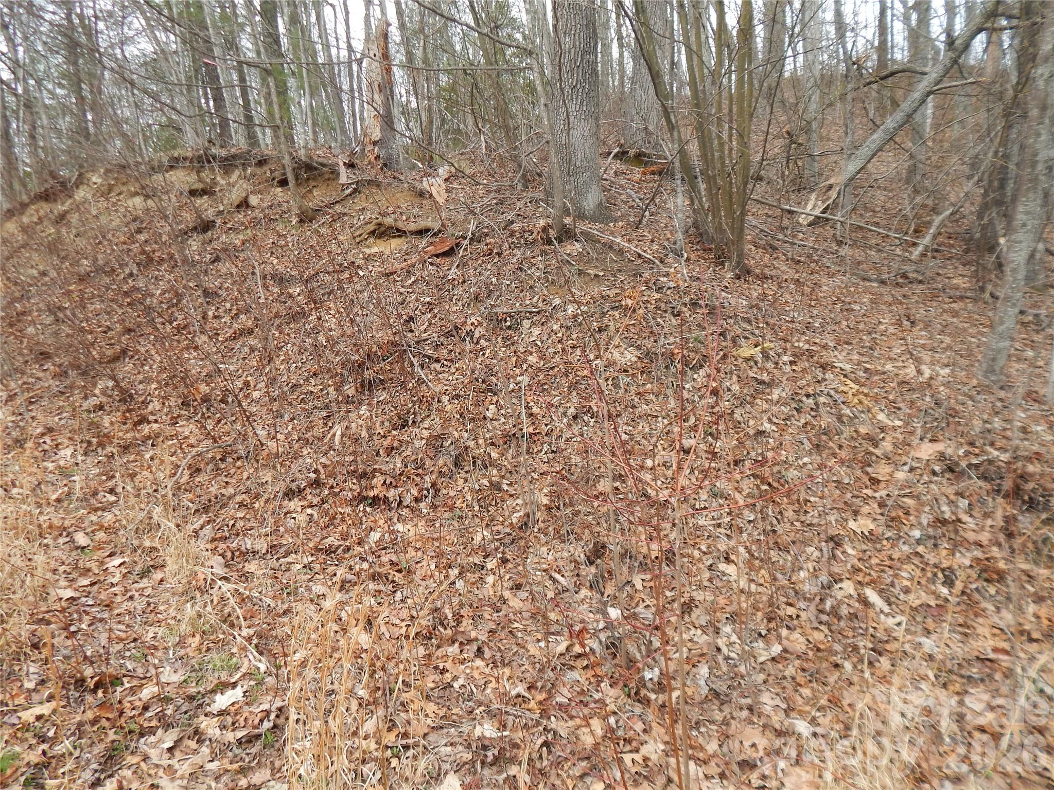 5 Sigogglin Trail Property Photo 16