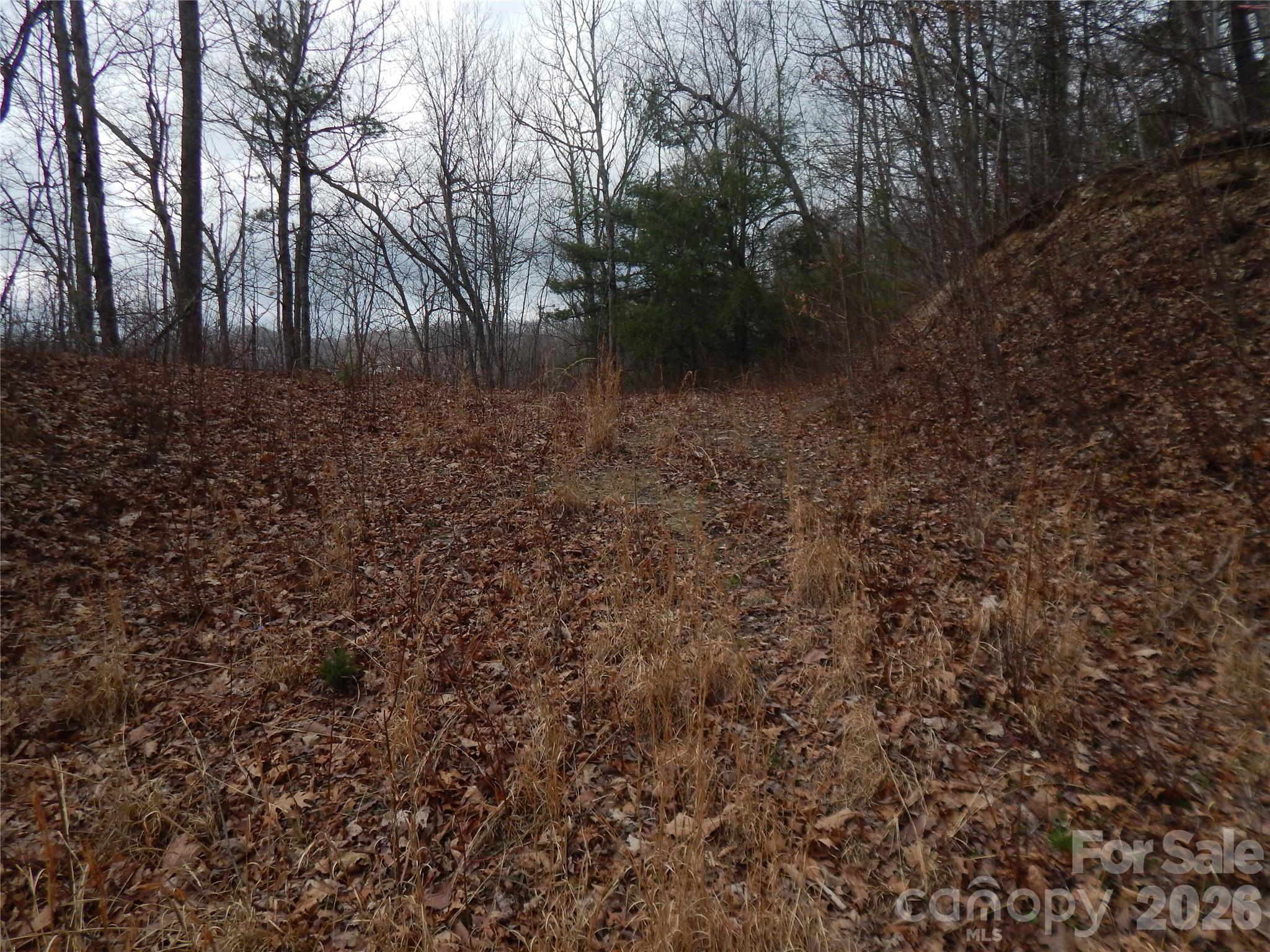 5 Sigogglin Trail Property Photo 17