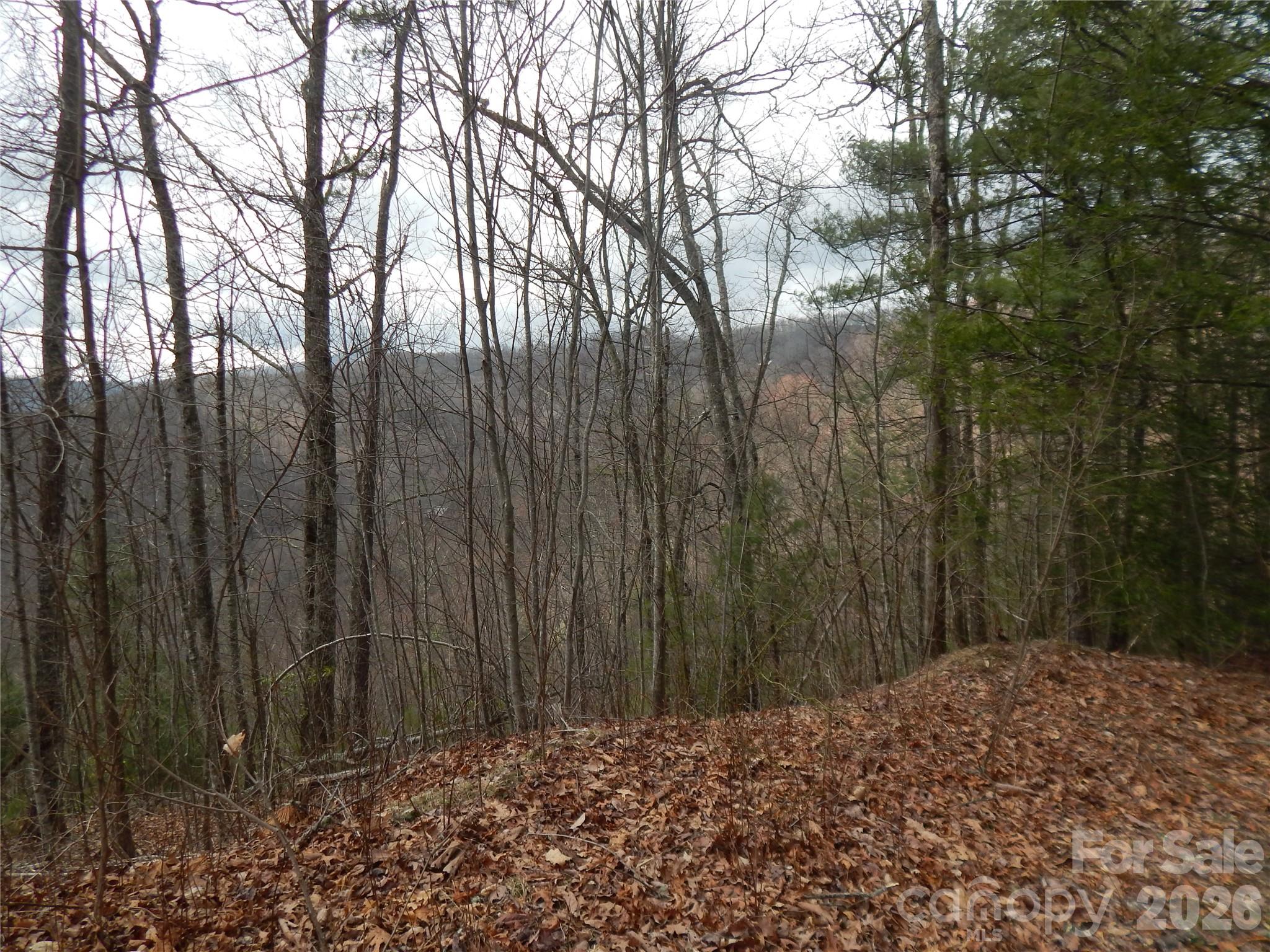 5 Sigogglin Trail Property Photo 18