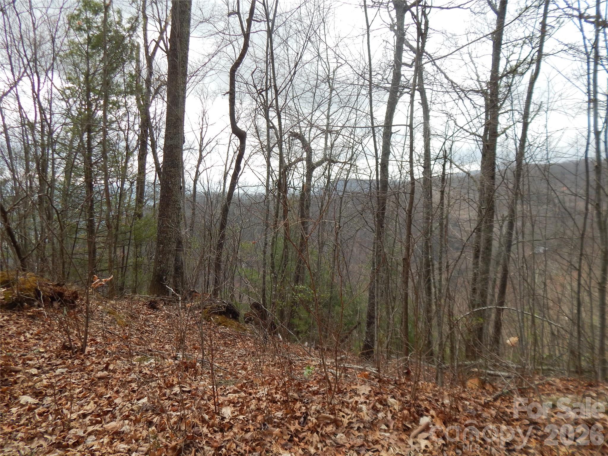 5 Sigogglin Trail Property Photo 19