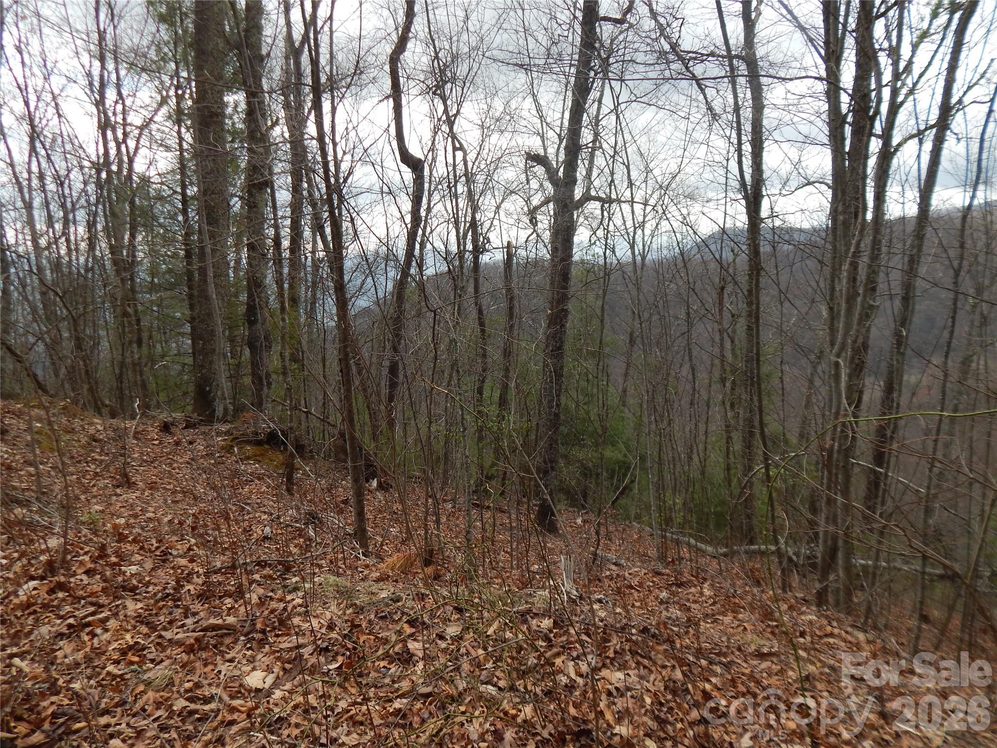 5 Sigogglin Trail Property Photo 21