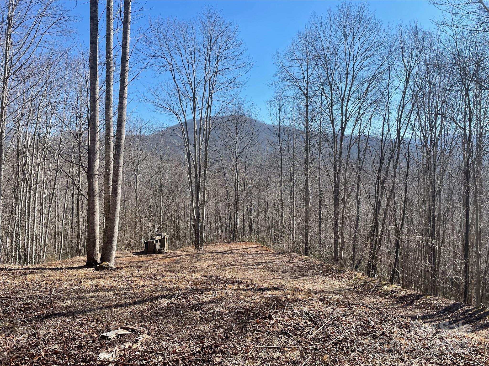 Lt 264 Cabin Flats Road 264 Property Photo