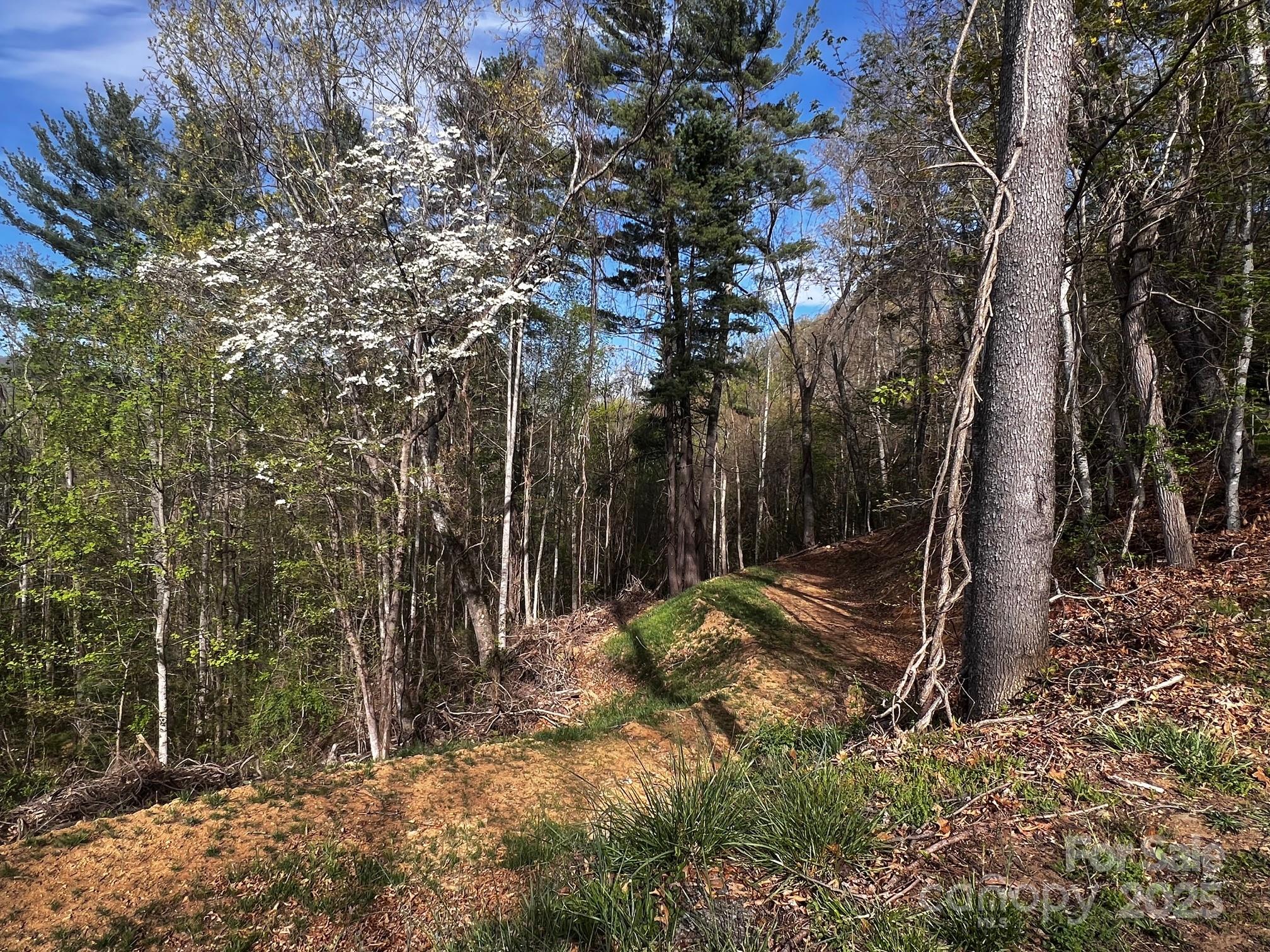 0 Little Creek Drive 5a Property Photo 2