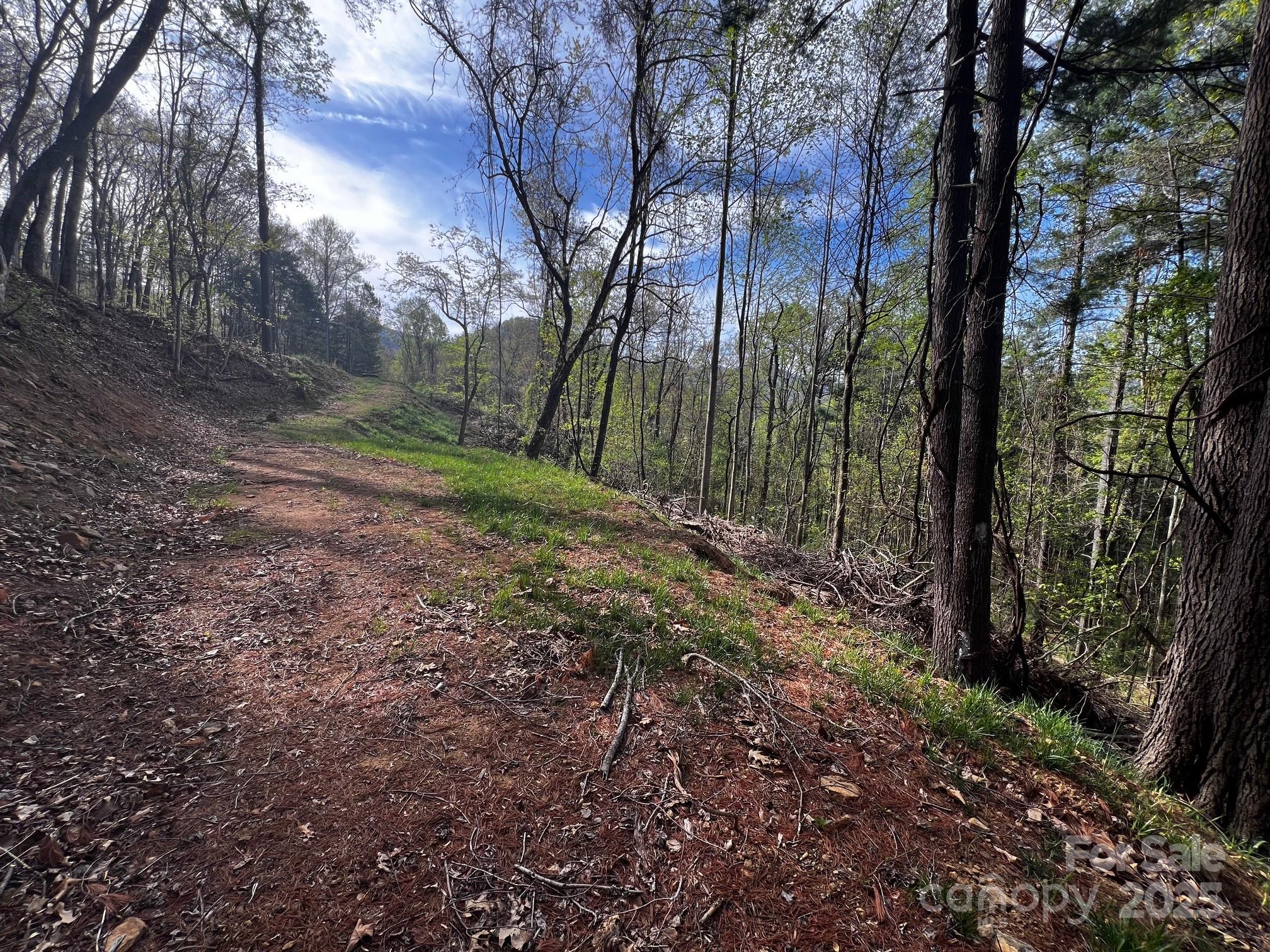 0 Little Creek Drive 5a Property Photo 3