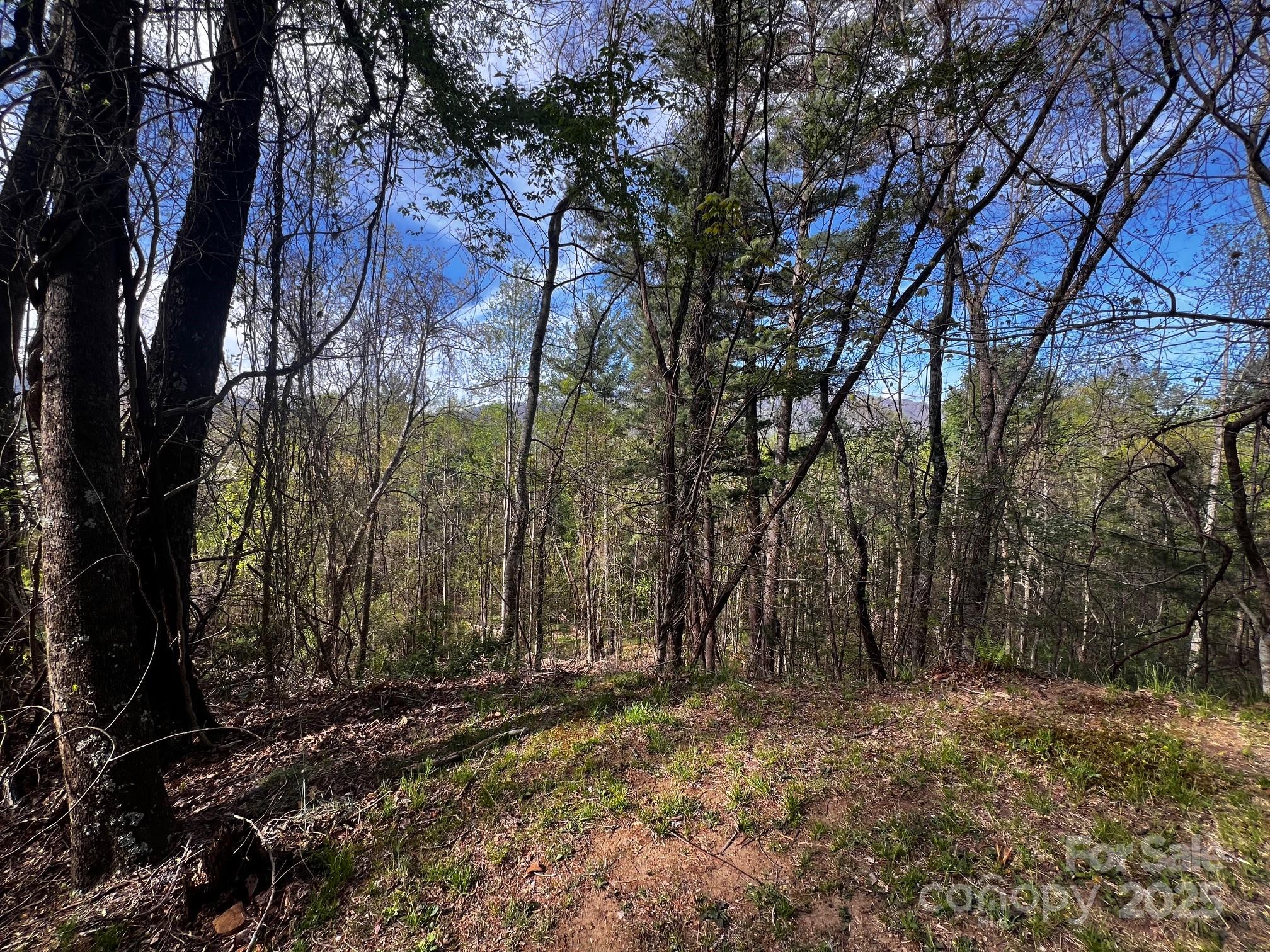 0 Little Creek Drive 5a Property Photo 4