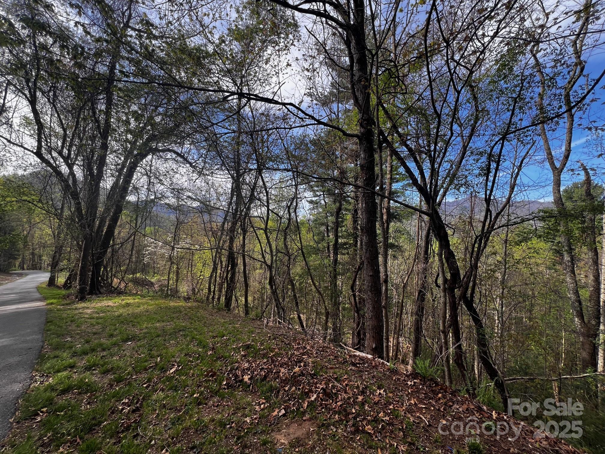 0 Little Creek Drive 5a Property Photo 5