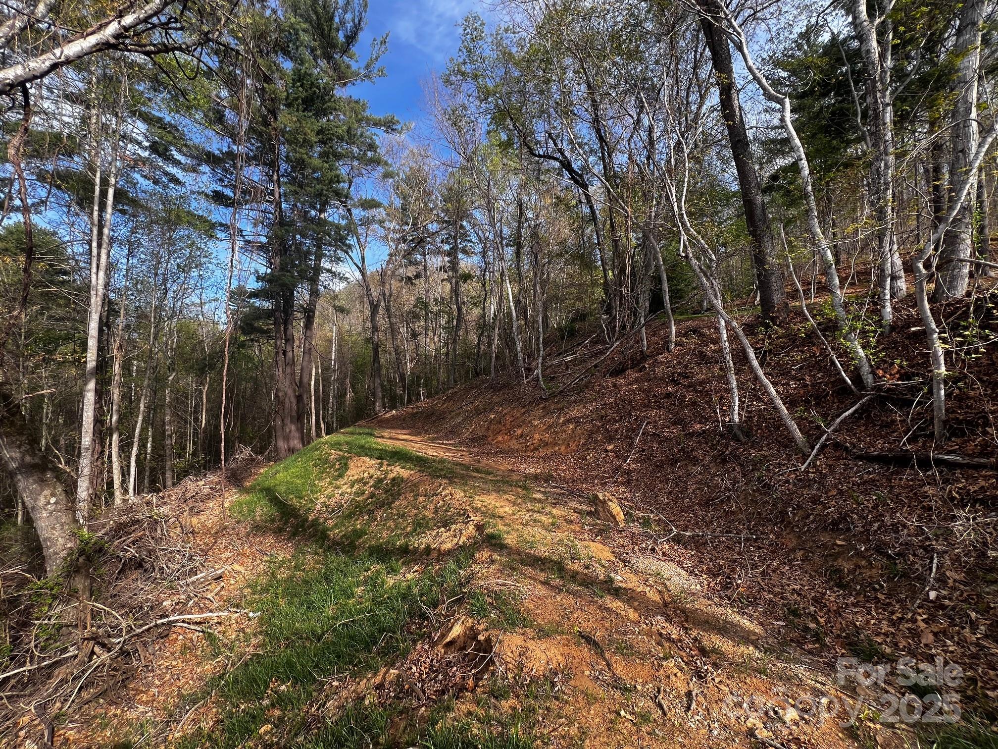 0 Little Creek Drive 5a Property Photo 6