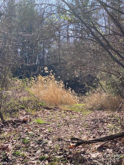 105 Mills Gap Road Property Photo 5