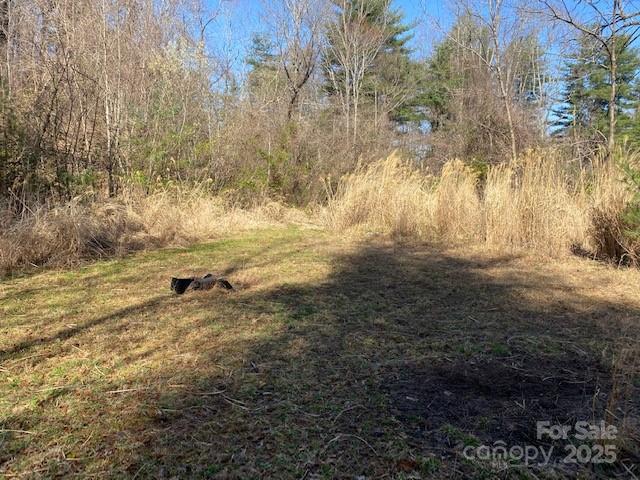 105 Mills Gap Road Property Photo 6