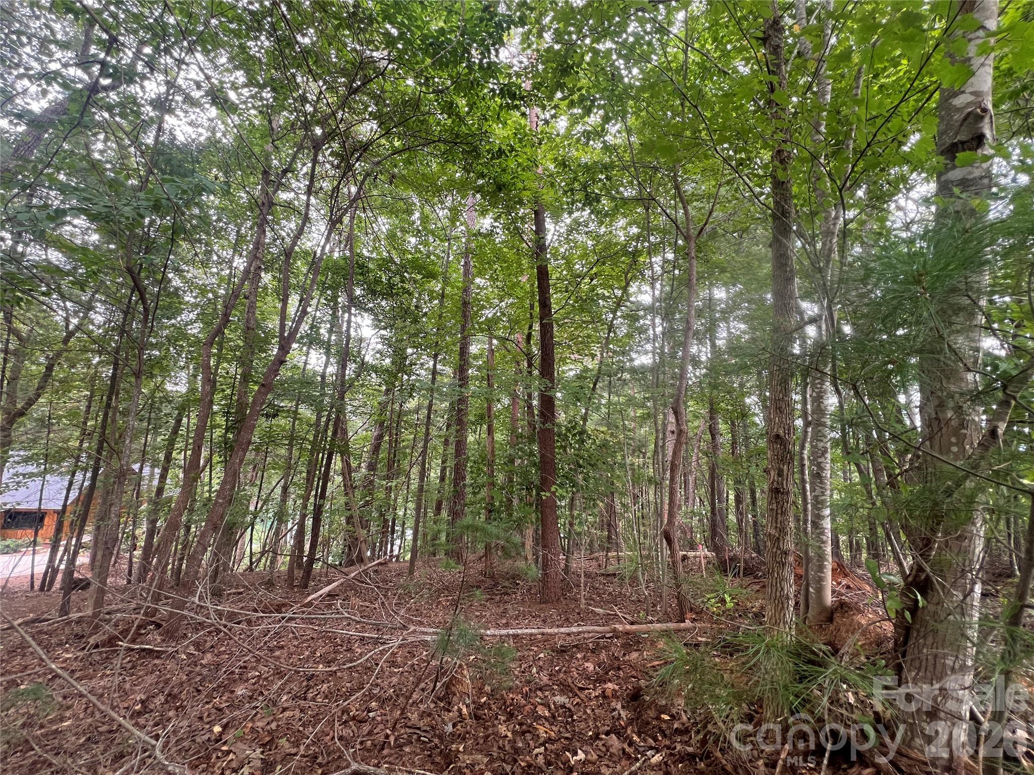 1600 Lillians Point Court 33 Property Photo 8