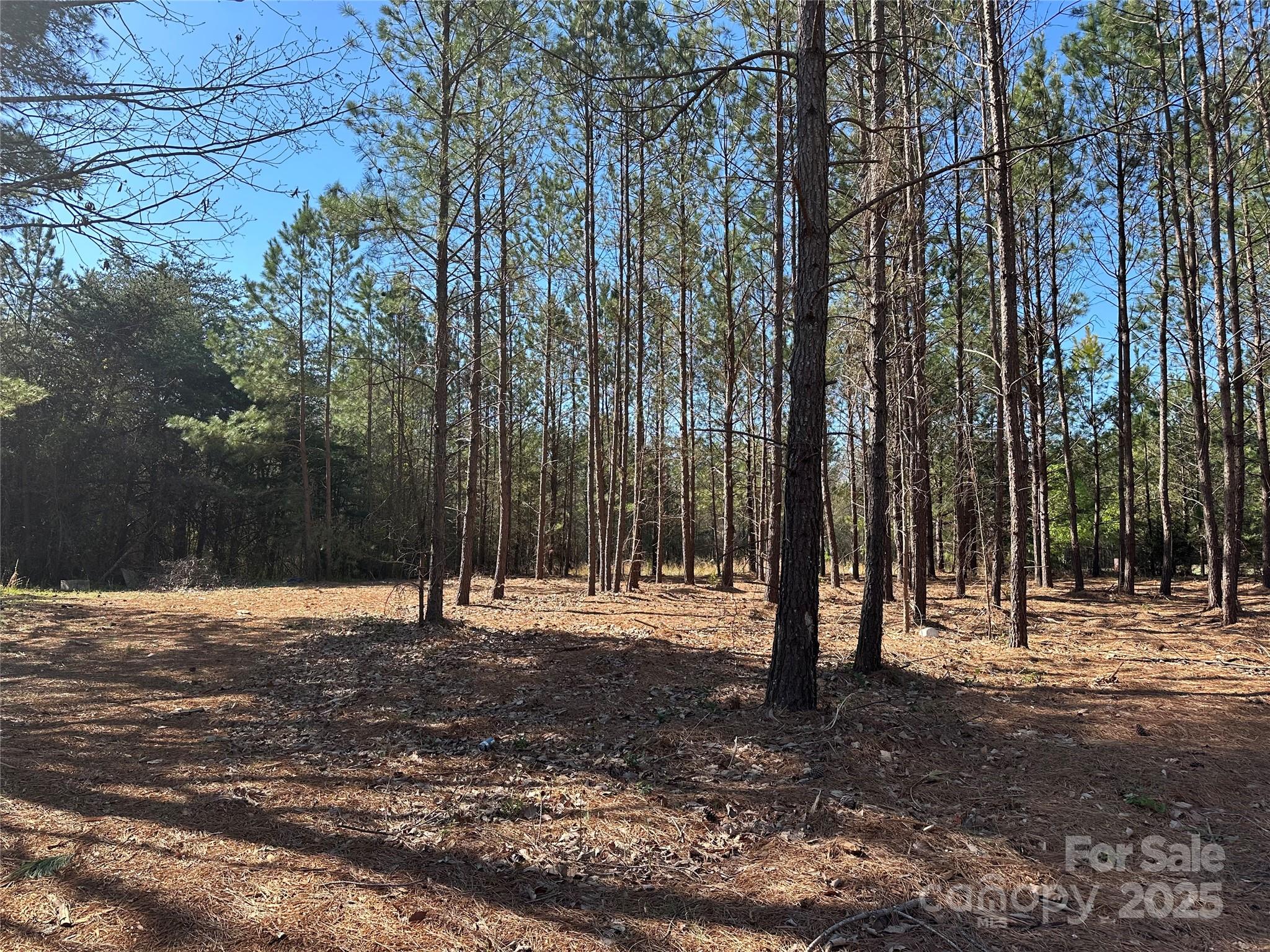 4281 East Maiden Road Property Photo 4