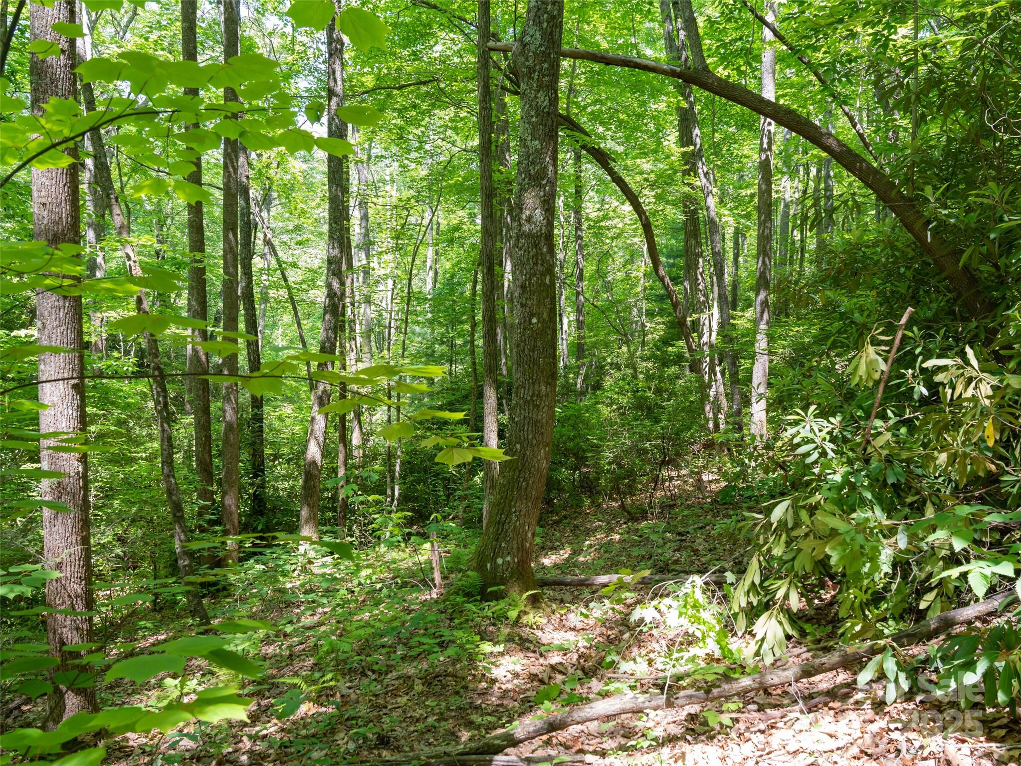 207 Lytle Cove Road Property Photo 20