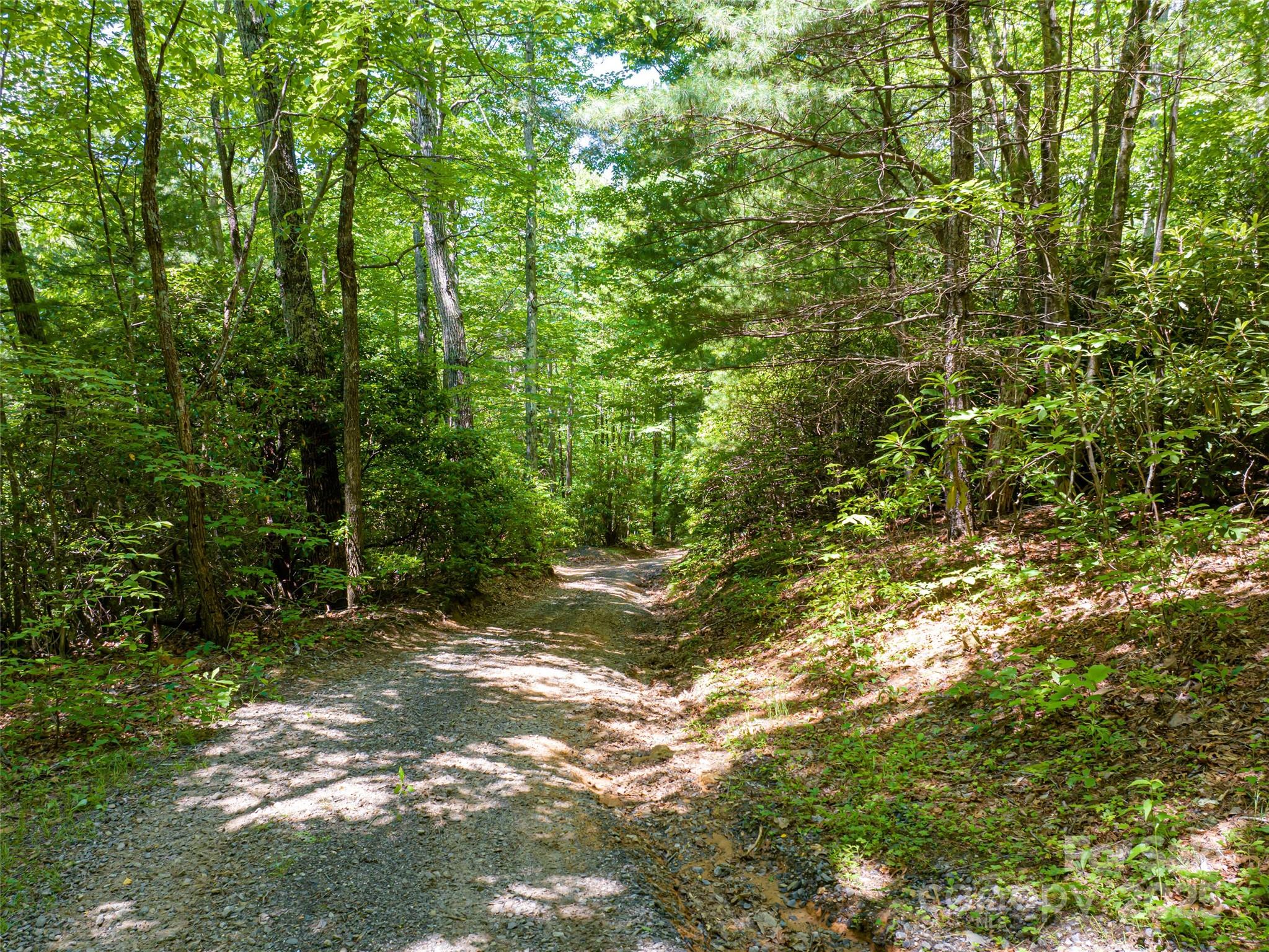 207 Lytle Cove Road Property Photo 25