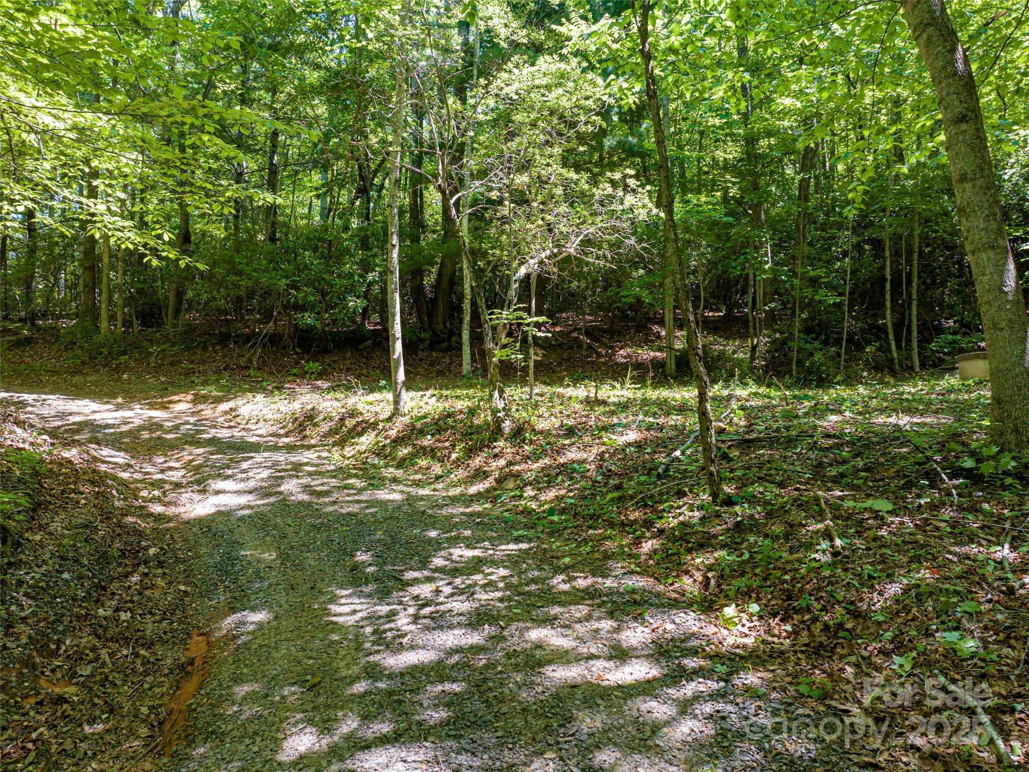 207 Lytle Cove Road Property Photo 26