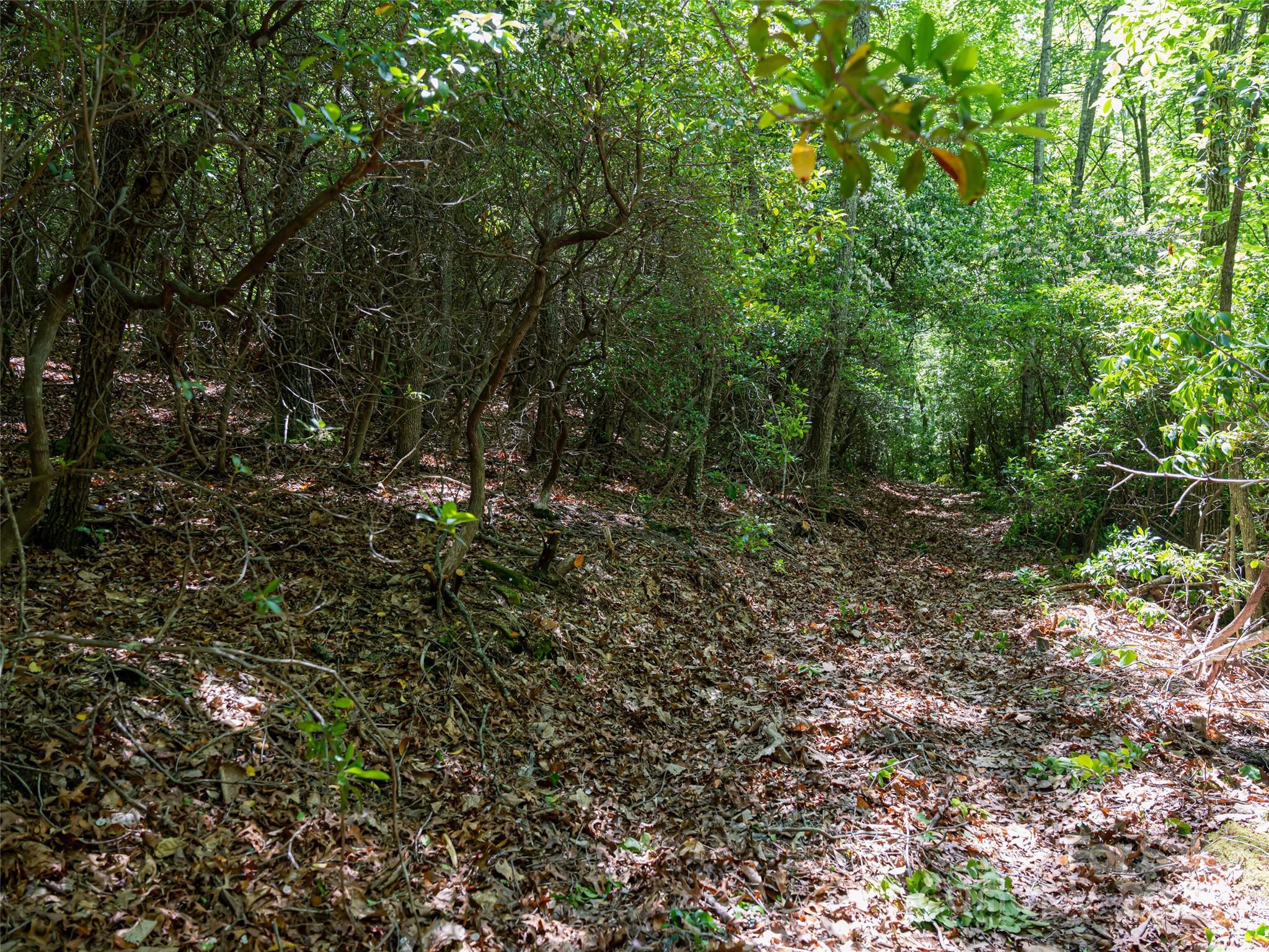 207 Lytle Cove Road Property Photo 28