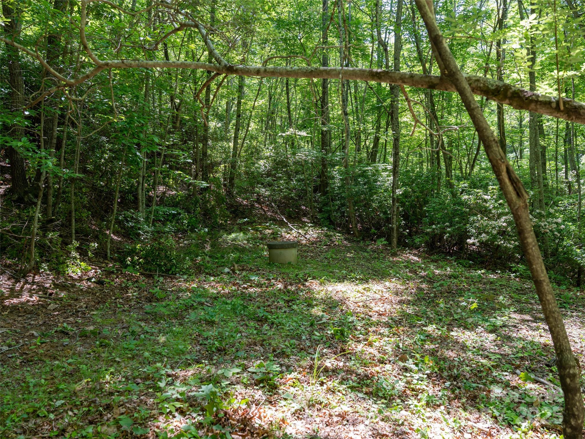 207 Lytle Cove Road Property Photo 32