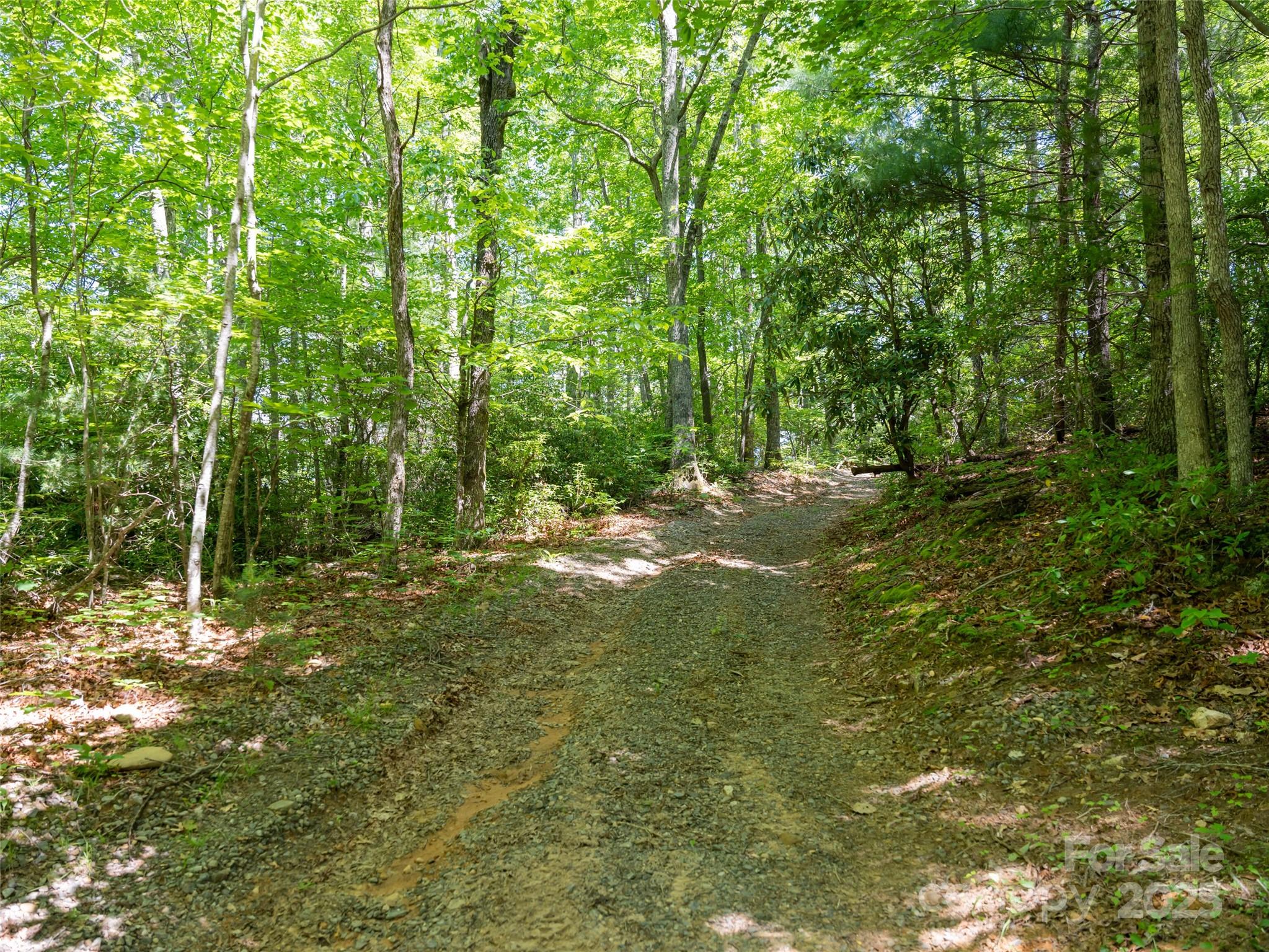 207 Lytle Cove Road Property Photo 34