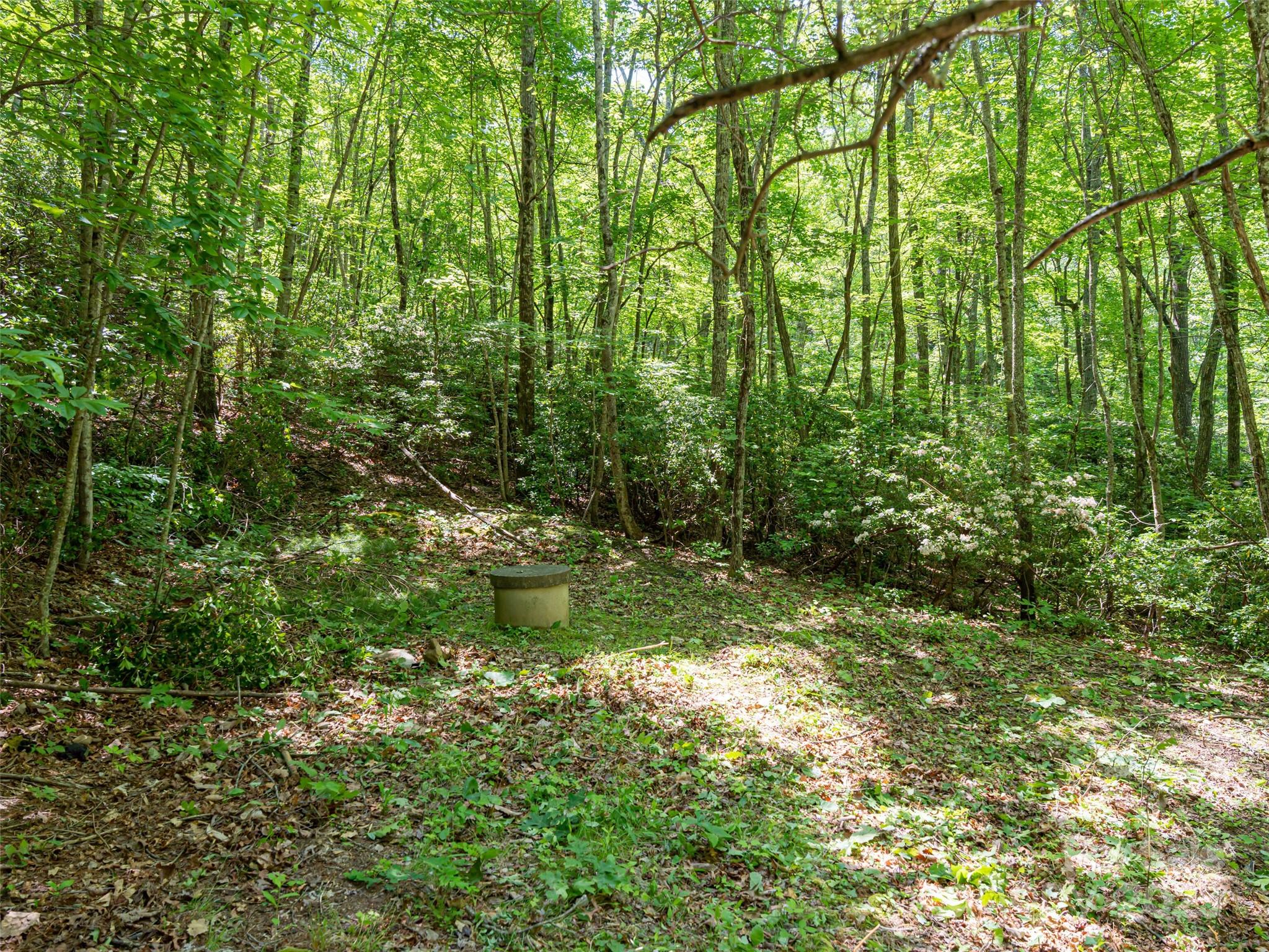 207 Lytle Cove Road Property Photo 35