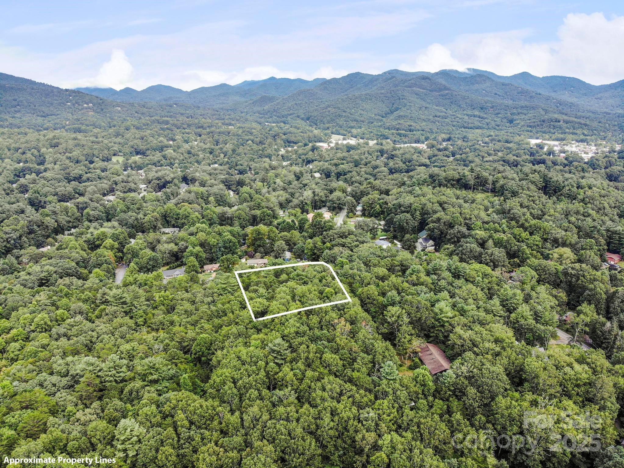Lot 1 Chinquapin Hill Property Photo