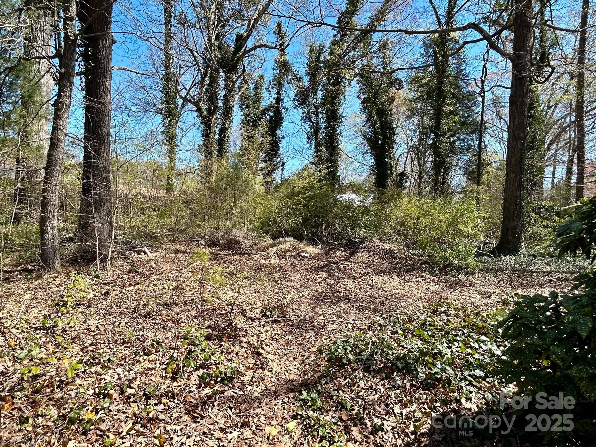 0 Milling Road Property Photo 2