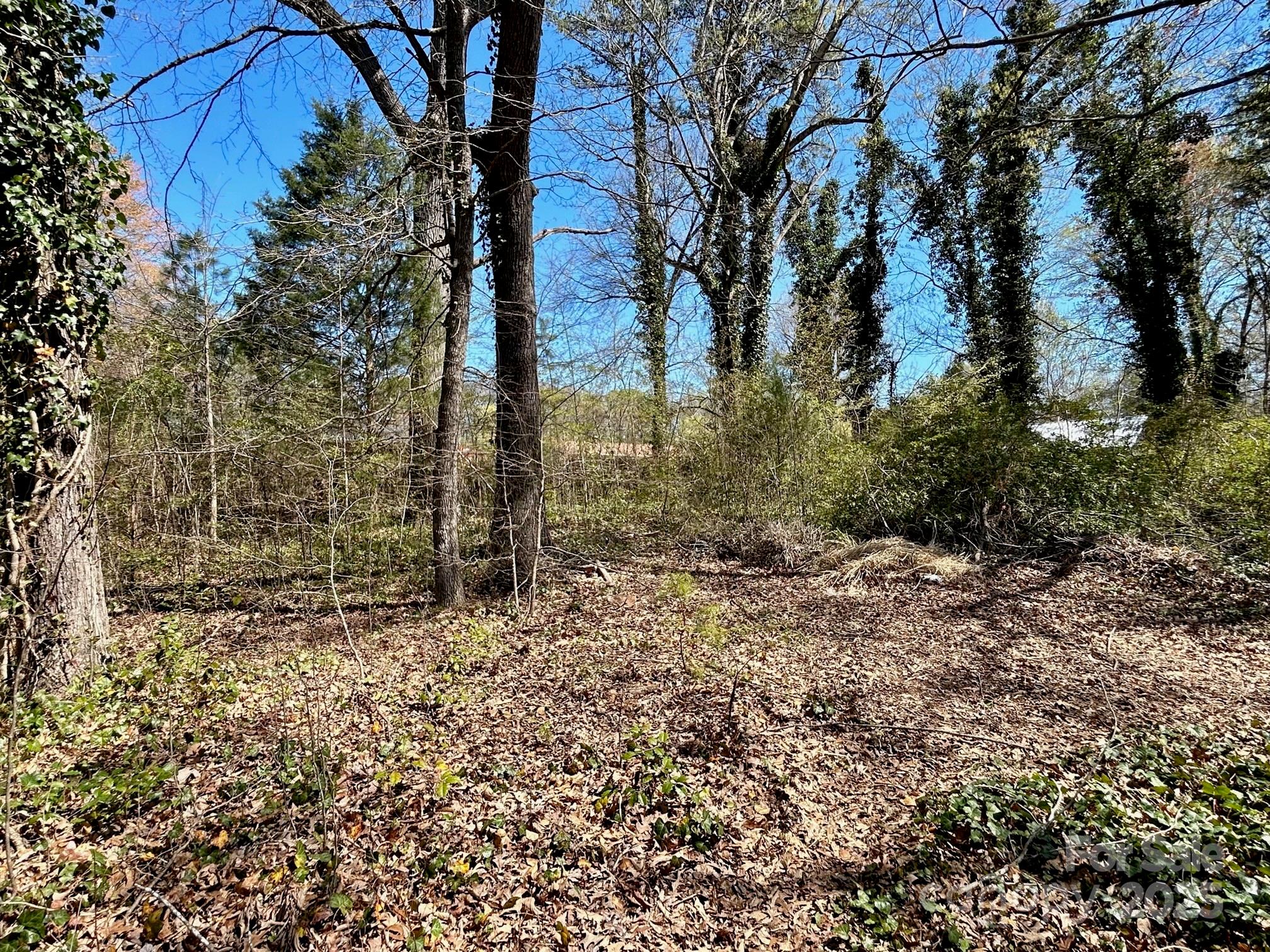 0 Milling Road Property Photo 3